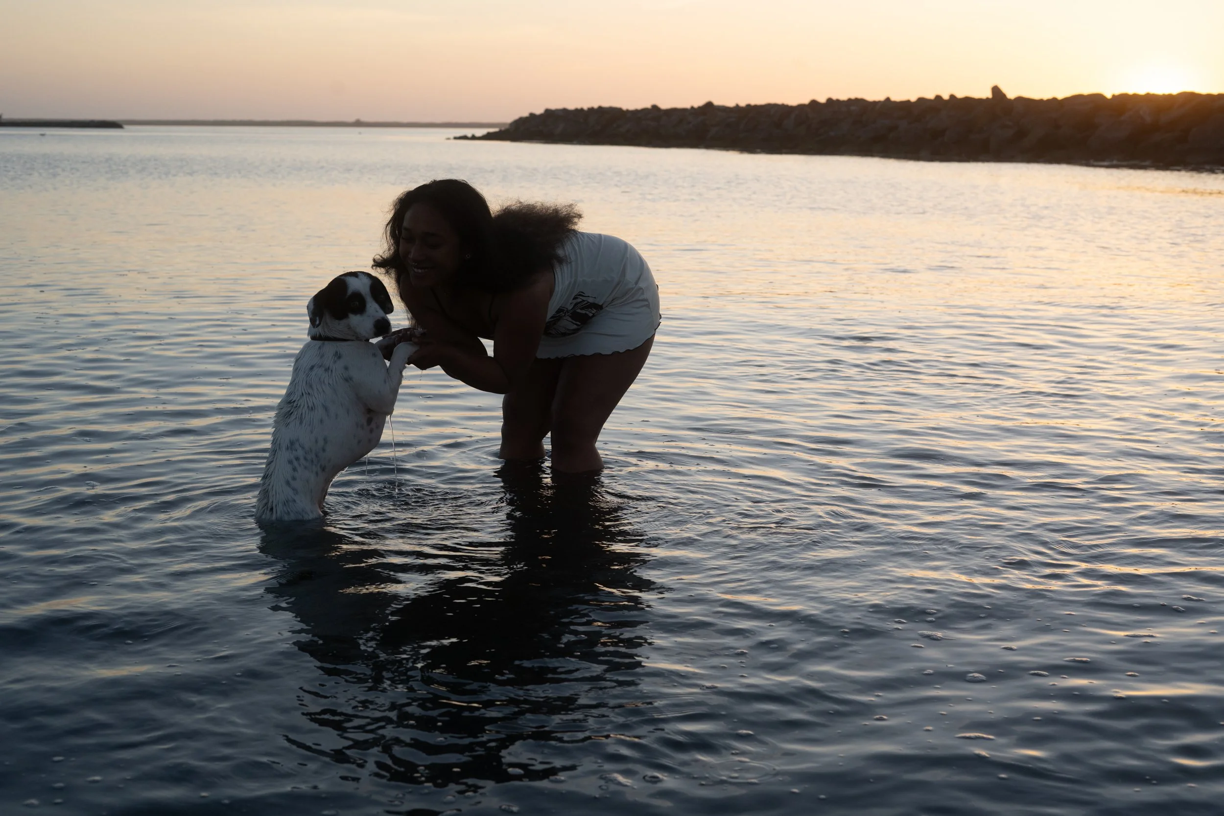 Pets-198.jpg