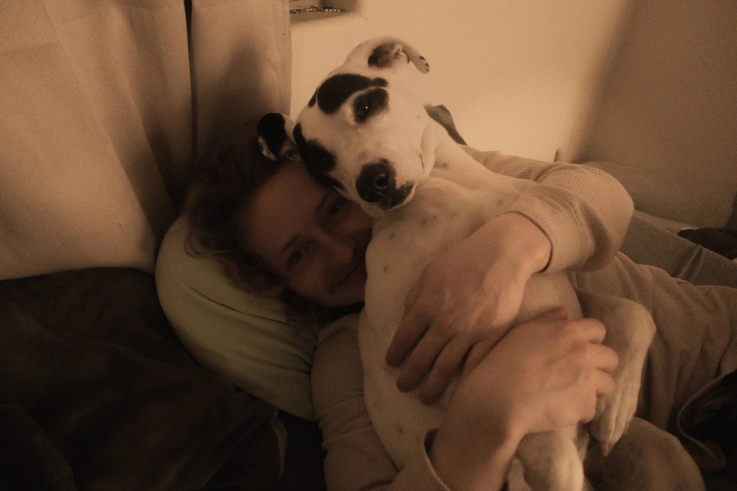 Pets-242.jpg
