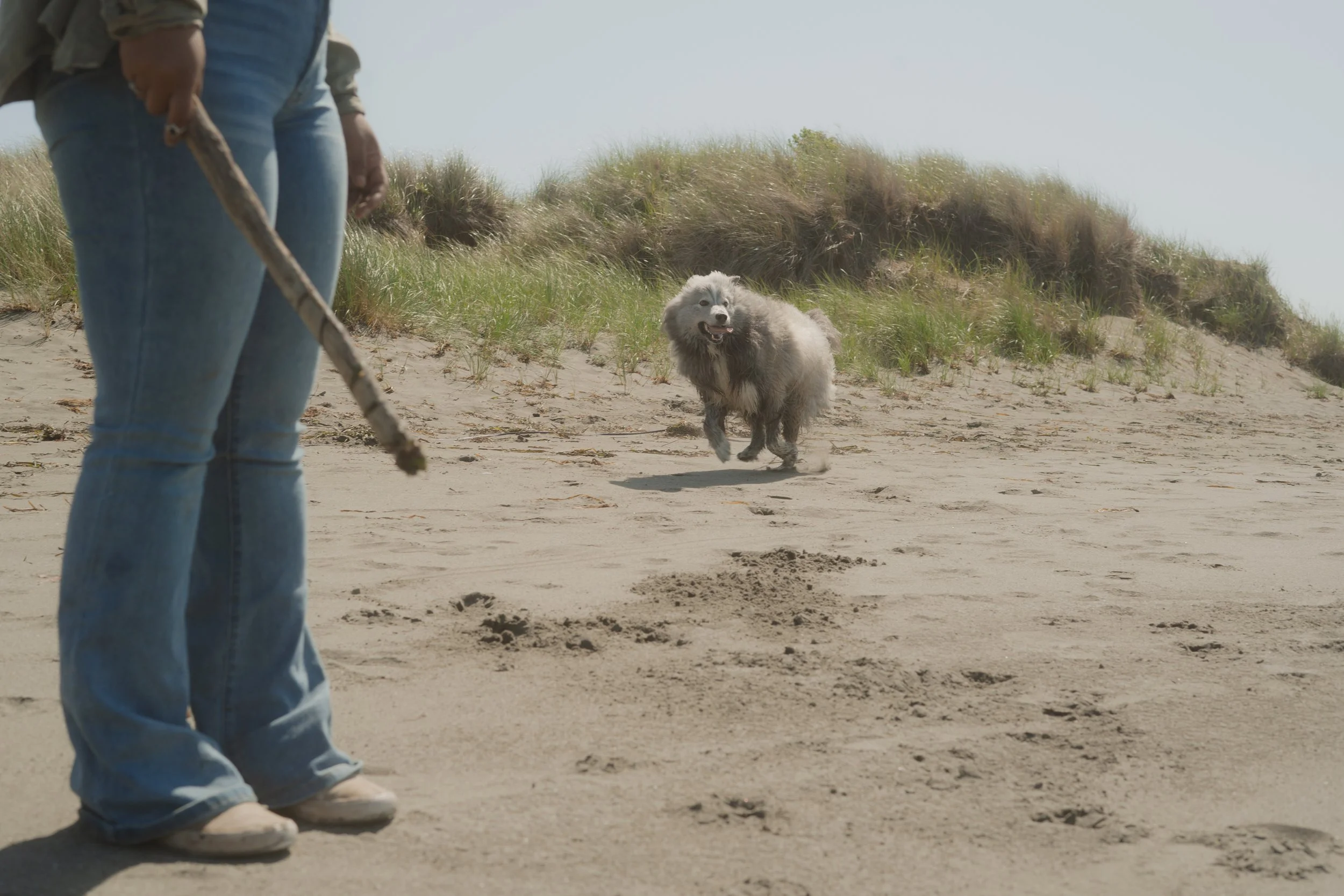 Pets-193.jpg