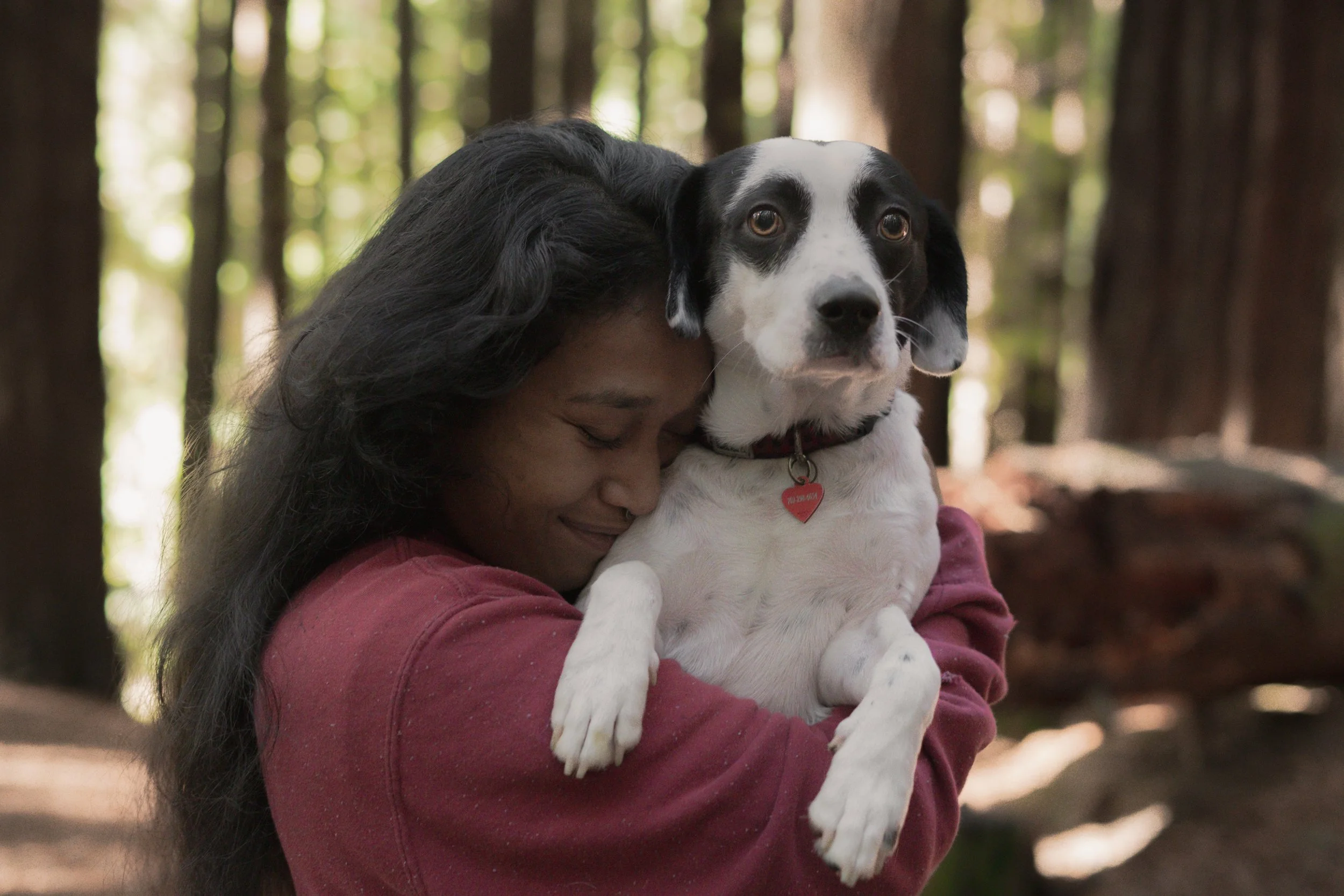 Pets-230.jpg