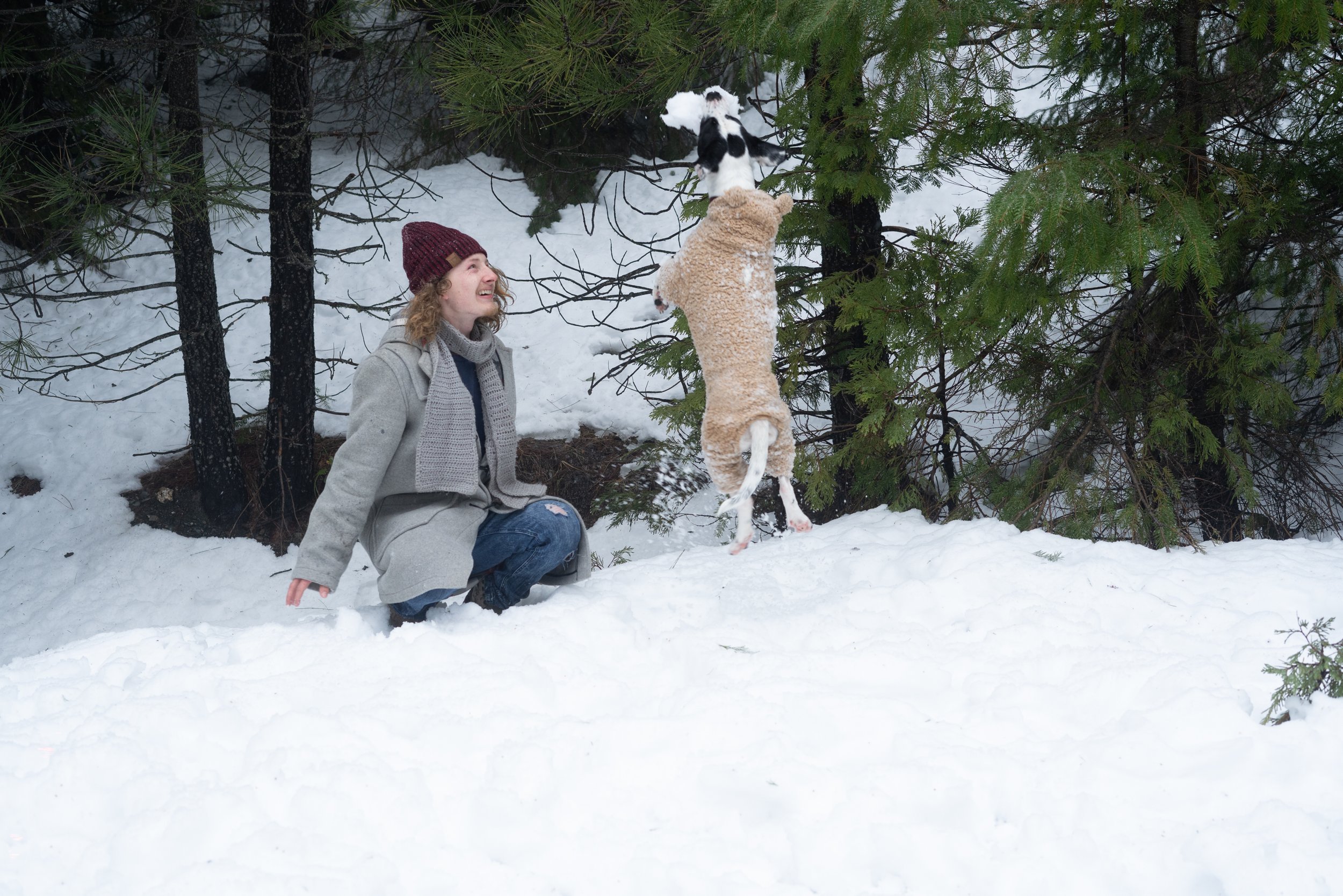 Pets-143.jpg
