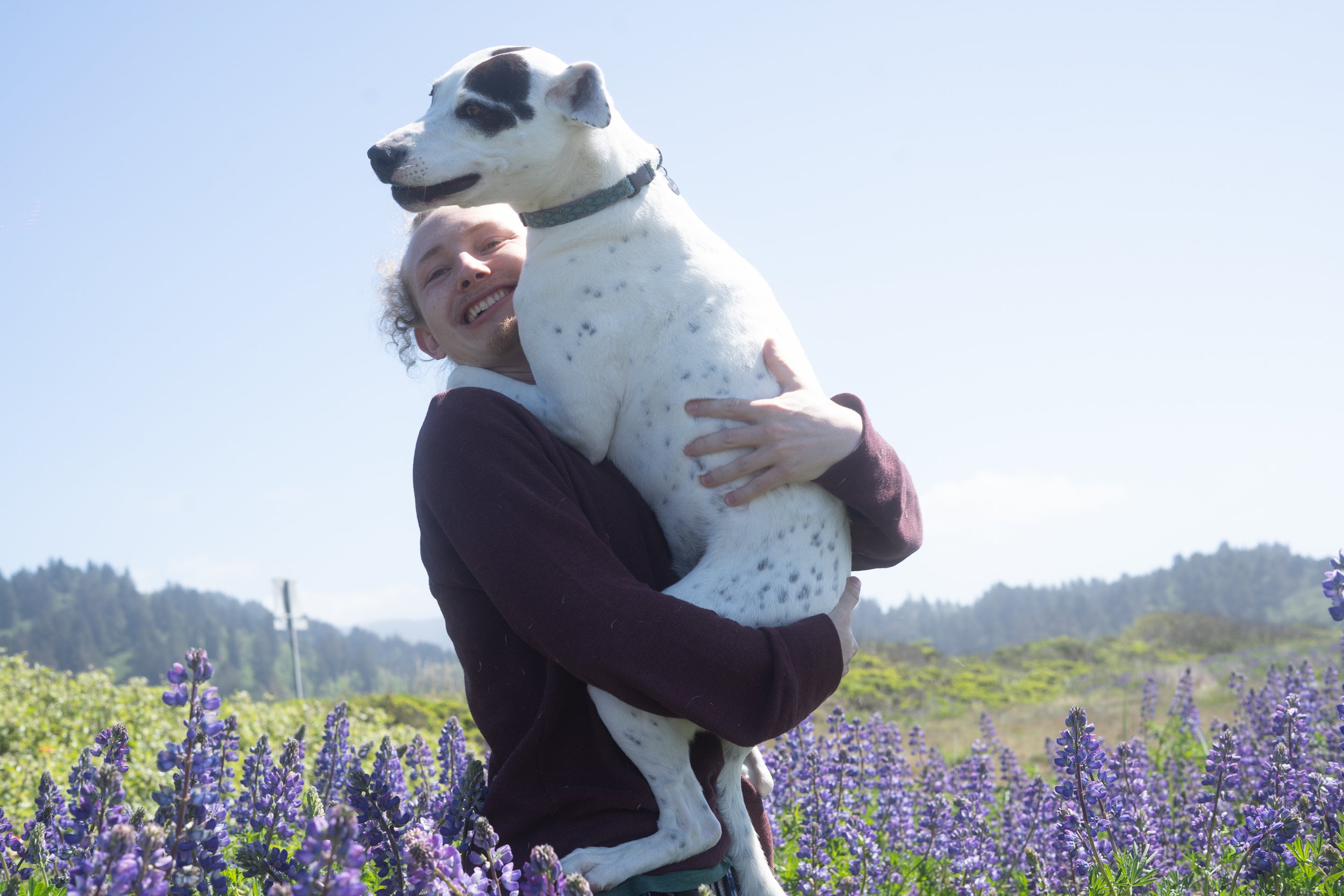 Pets-189.jpg