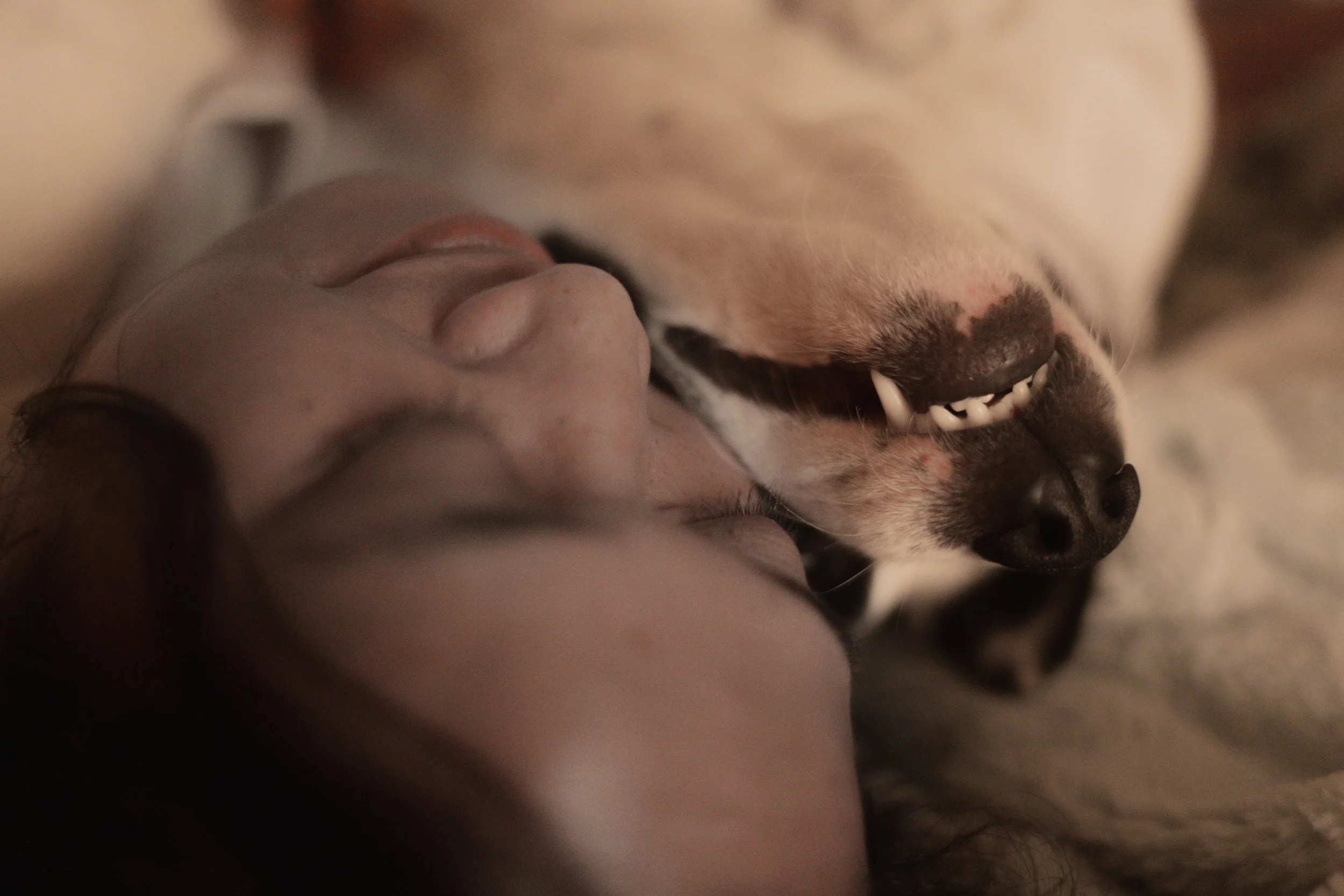 Pets-245.jpg