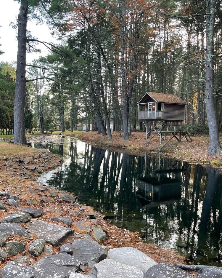 Pond+3.jpg