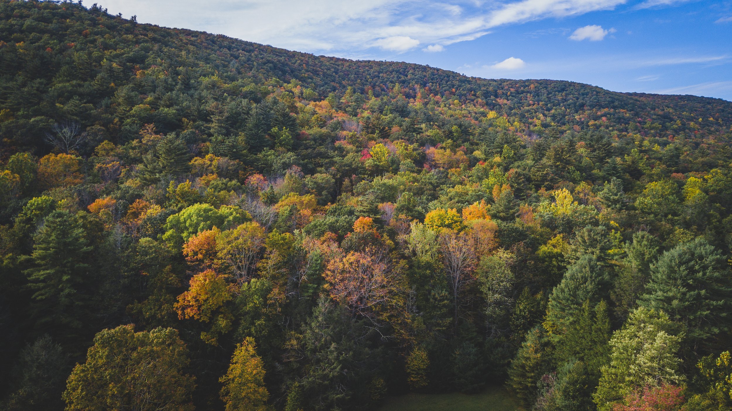 Aerial+Fall+Foliage+3.jpg