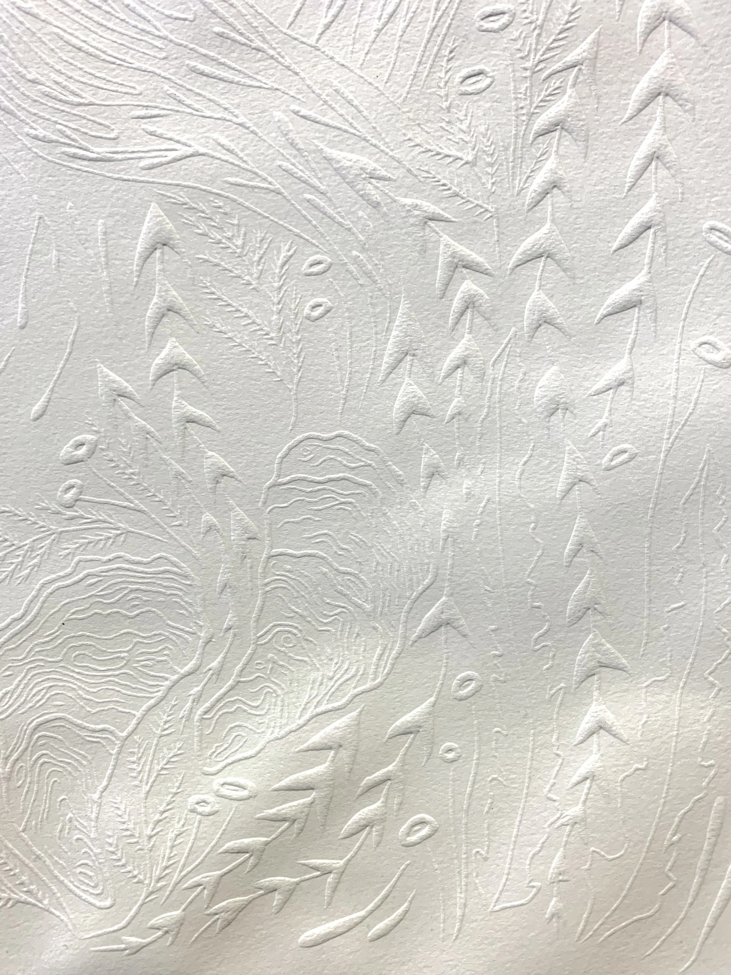 Details of blind print
