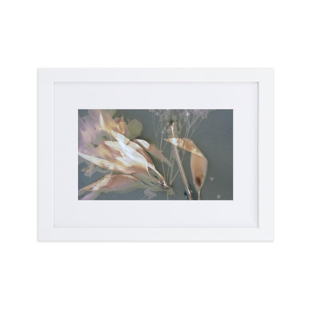matte-paper-framed-poster-with-mat-(cm)-white-21x30-cm-transparent-6823abc7756ed.jpg