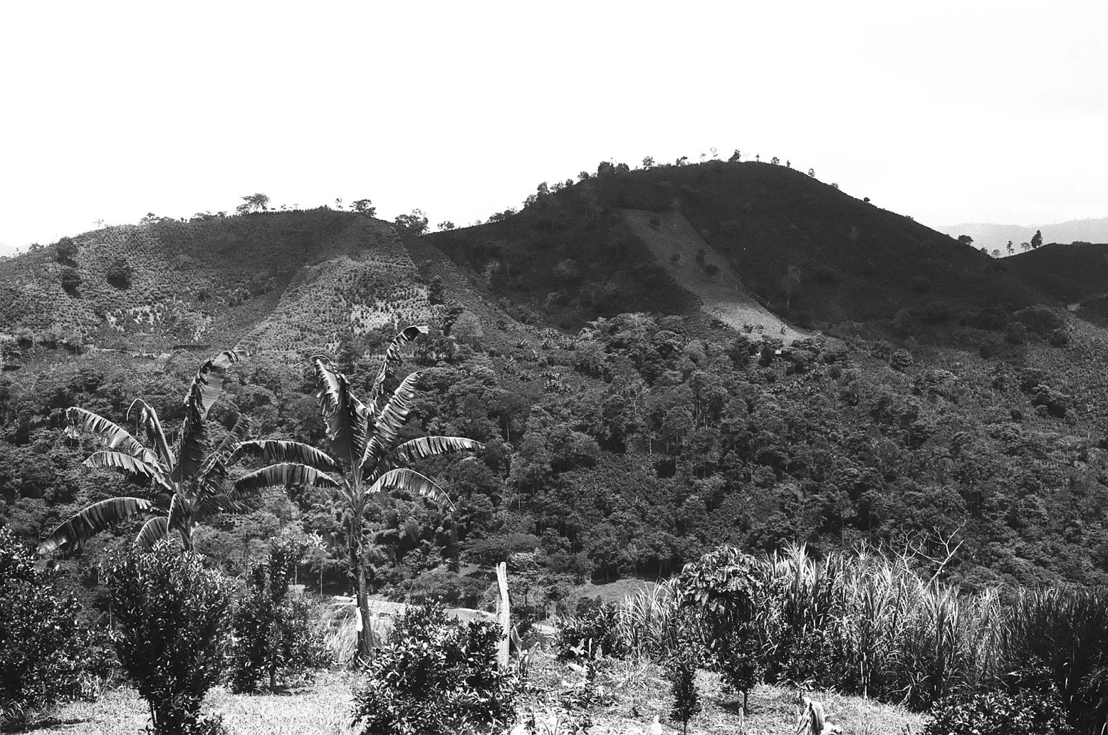 ae706-57150029.jpg