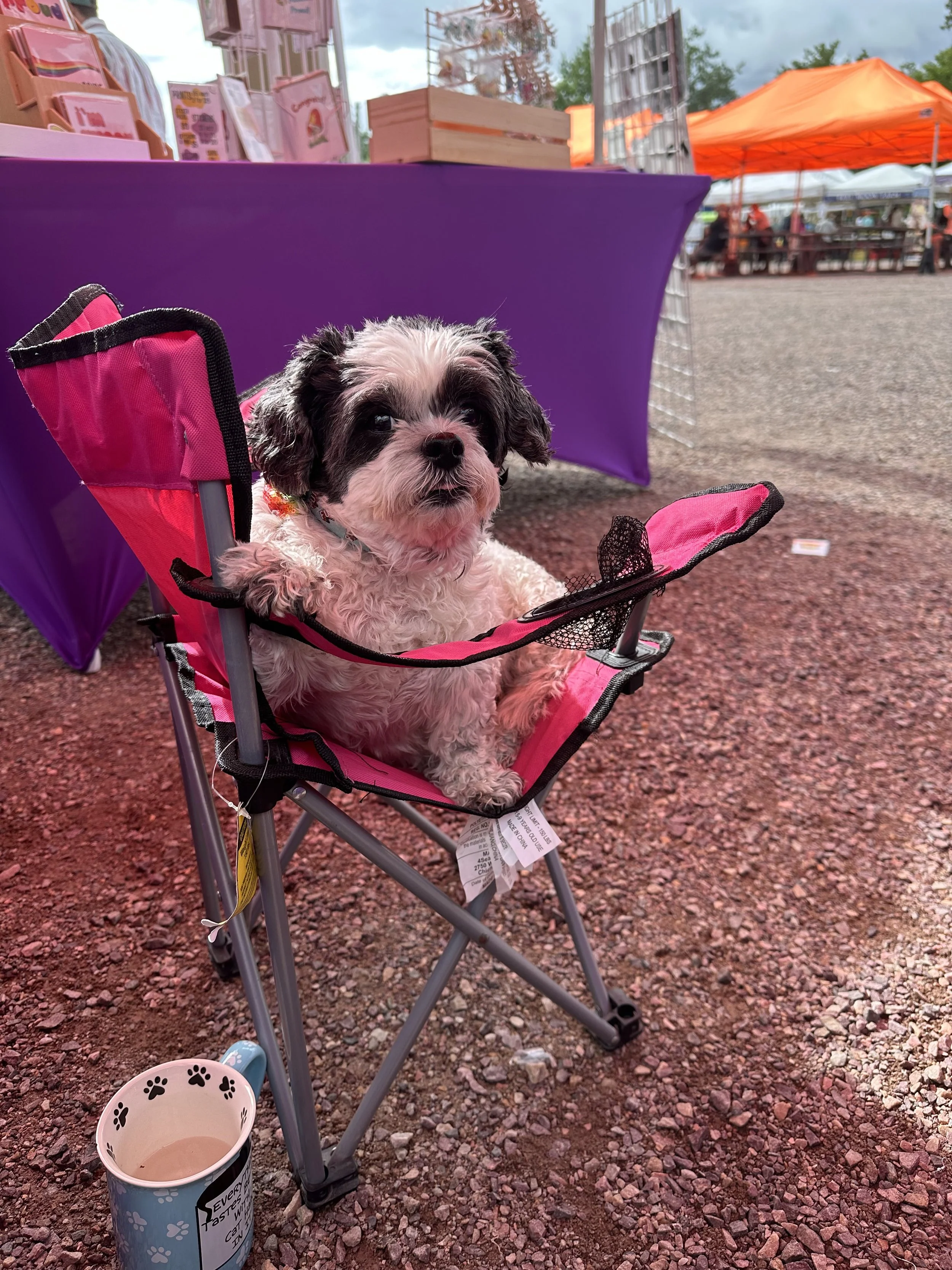 cute dog at vermont farmers market