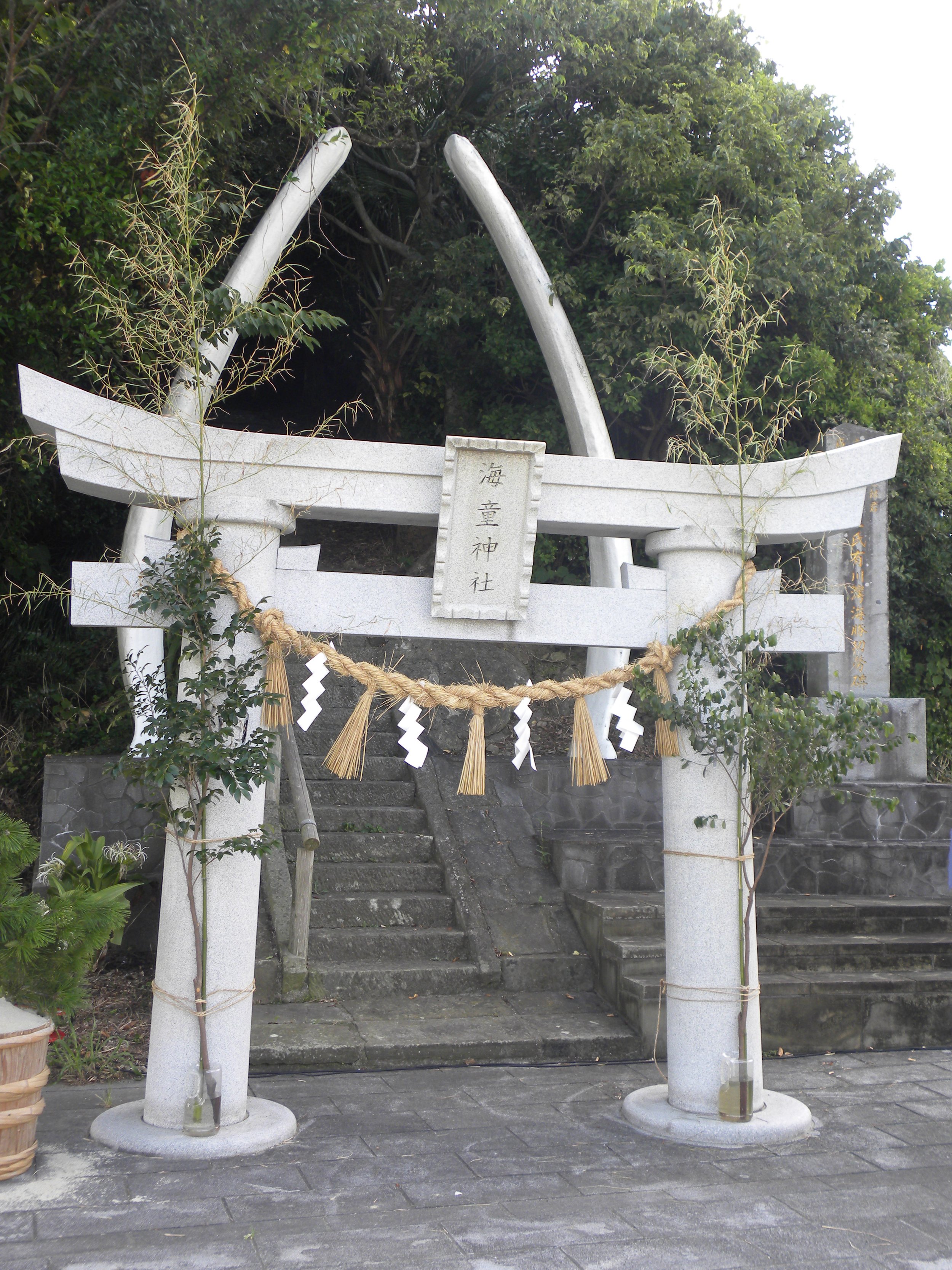 Goto whale torii.JPG