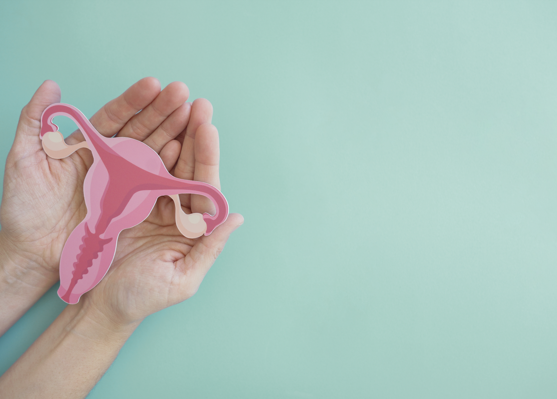 Screen Shot 2023-06-14 at 11.20.47 AM.png