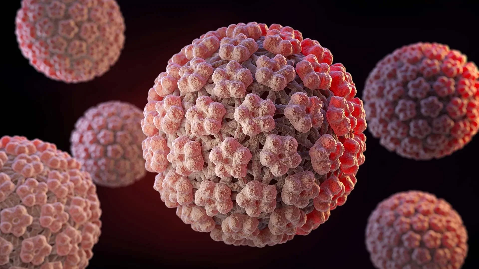 HPV_virus copy.jpg
