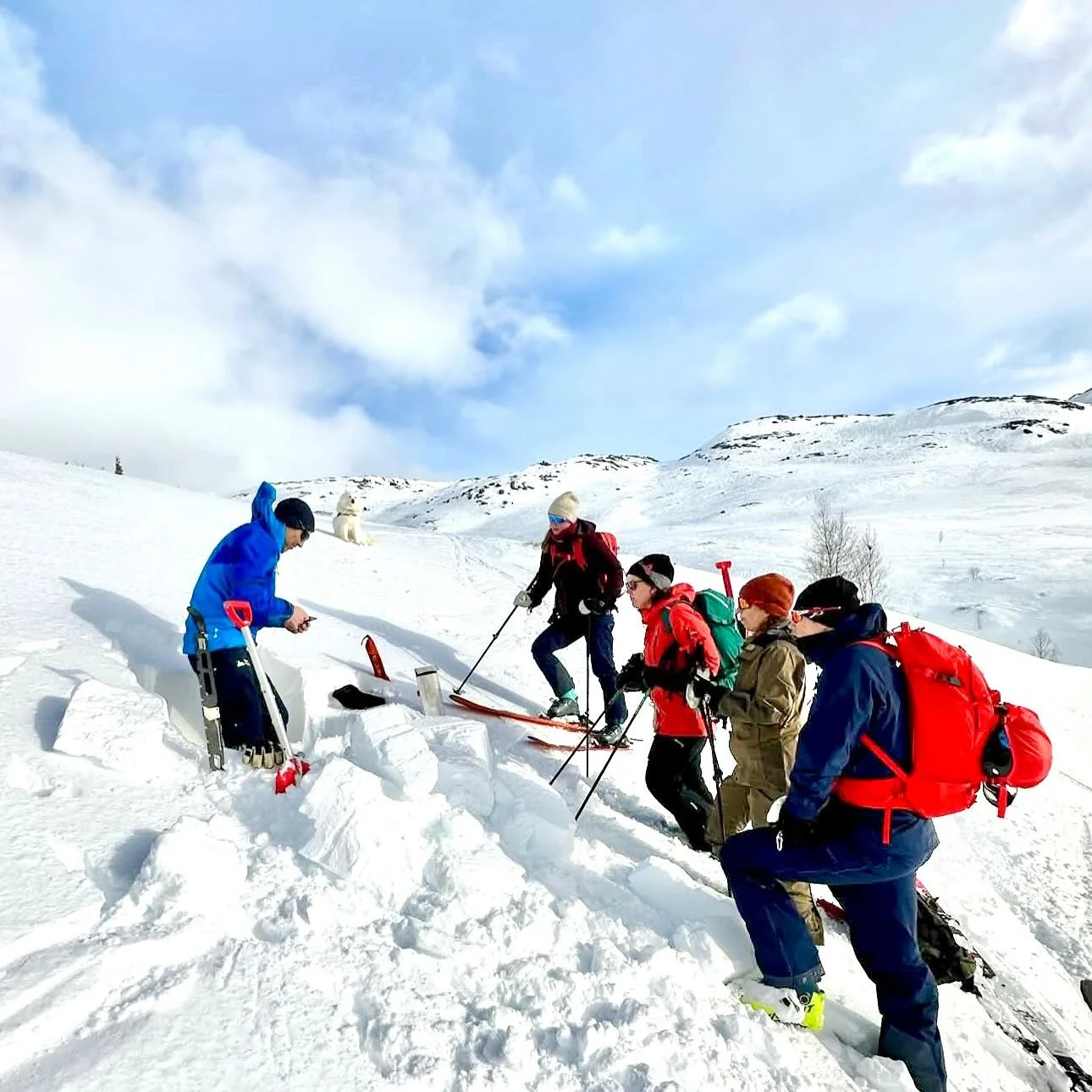 Vinter 2026 arrangerer vi 
NF-grunnkurs skred 
30.jan.-1. feb og 
NF- videreg&aring;ende skredkurs 13.-15. februar.
Begge kursene er 3 dagers kurs og f&oslash;ler Norsk Fjellsportforum ( NF) sine kursmaler. Dette er gode kurs der du l&aelig;rer mye! 