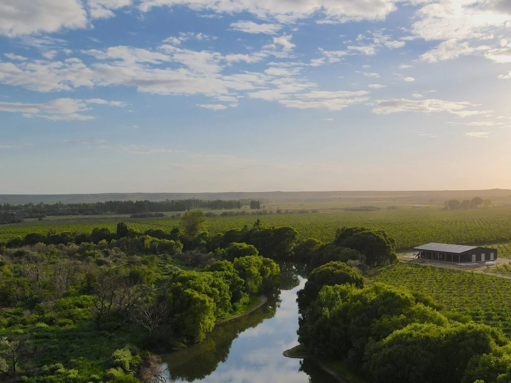 DJI_0428.jpg