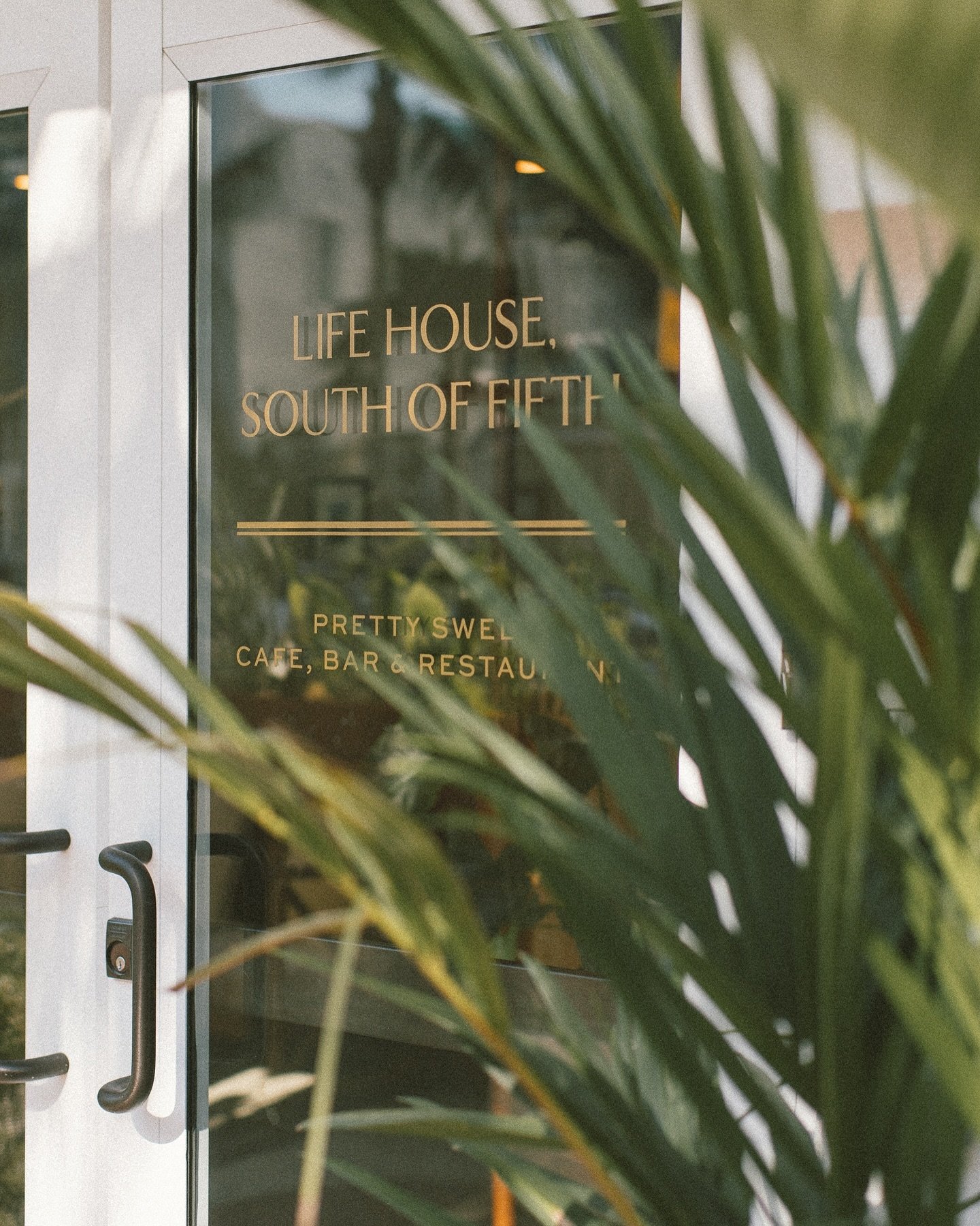 Had the best stay in Miami Beach ☼ Thank you for taking such incredible care of us @lifehousehotels South of Fifth!

#hotel #resortstyle #luxuryresort #resort #hoteles #hotelier #travelphotography #travelphotographer #beautifulhotels #beachesandresor