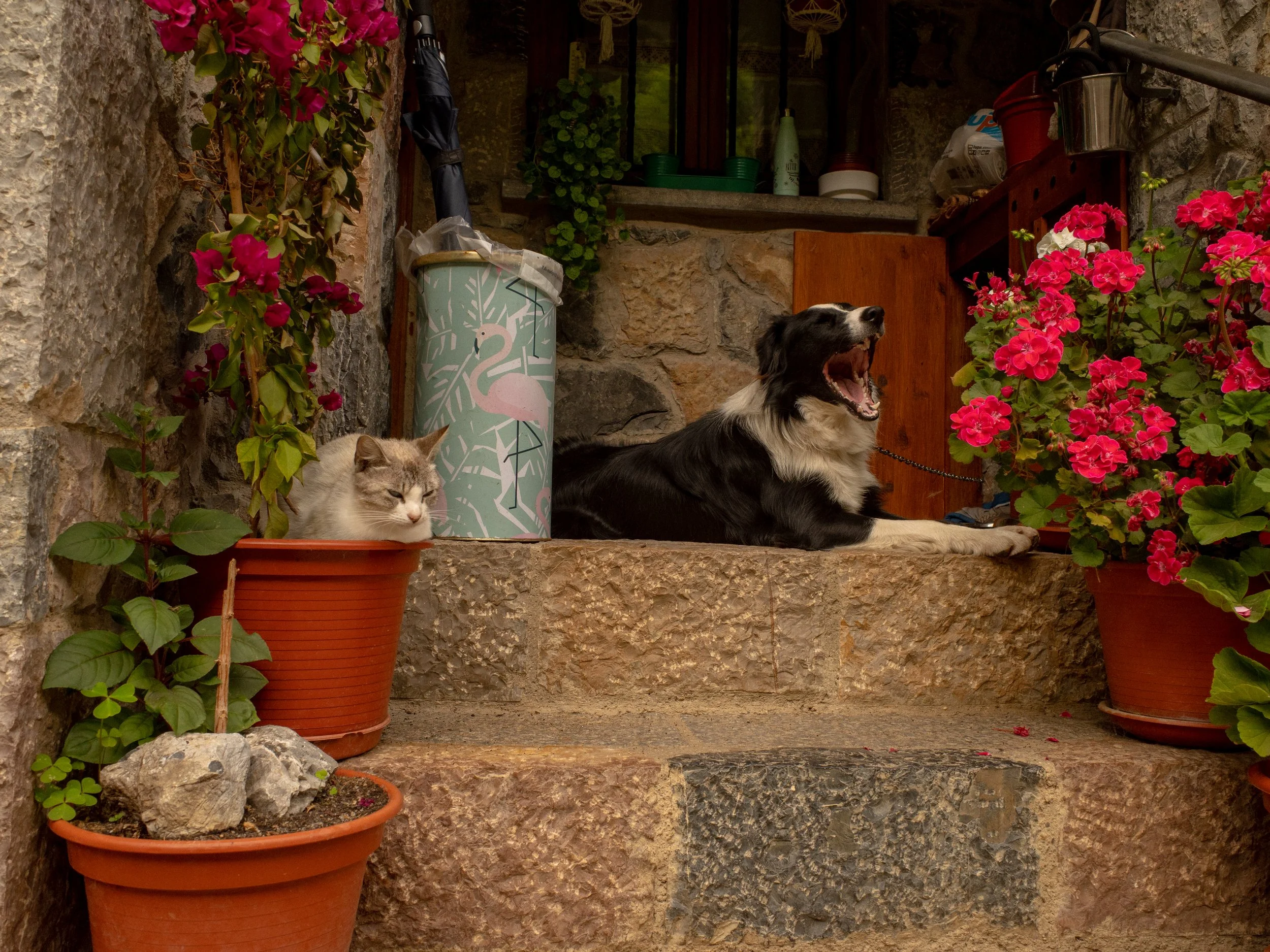 Picos de Europa, Poncebos - Caín, Spain