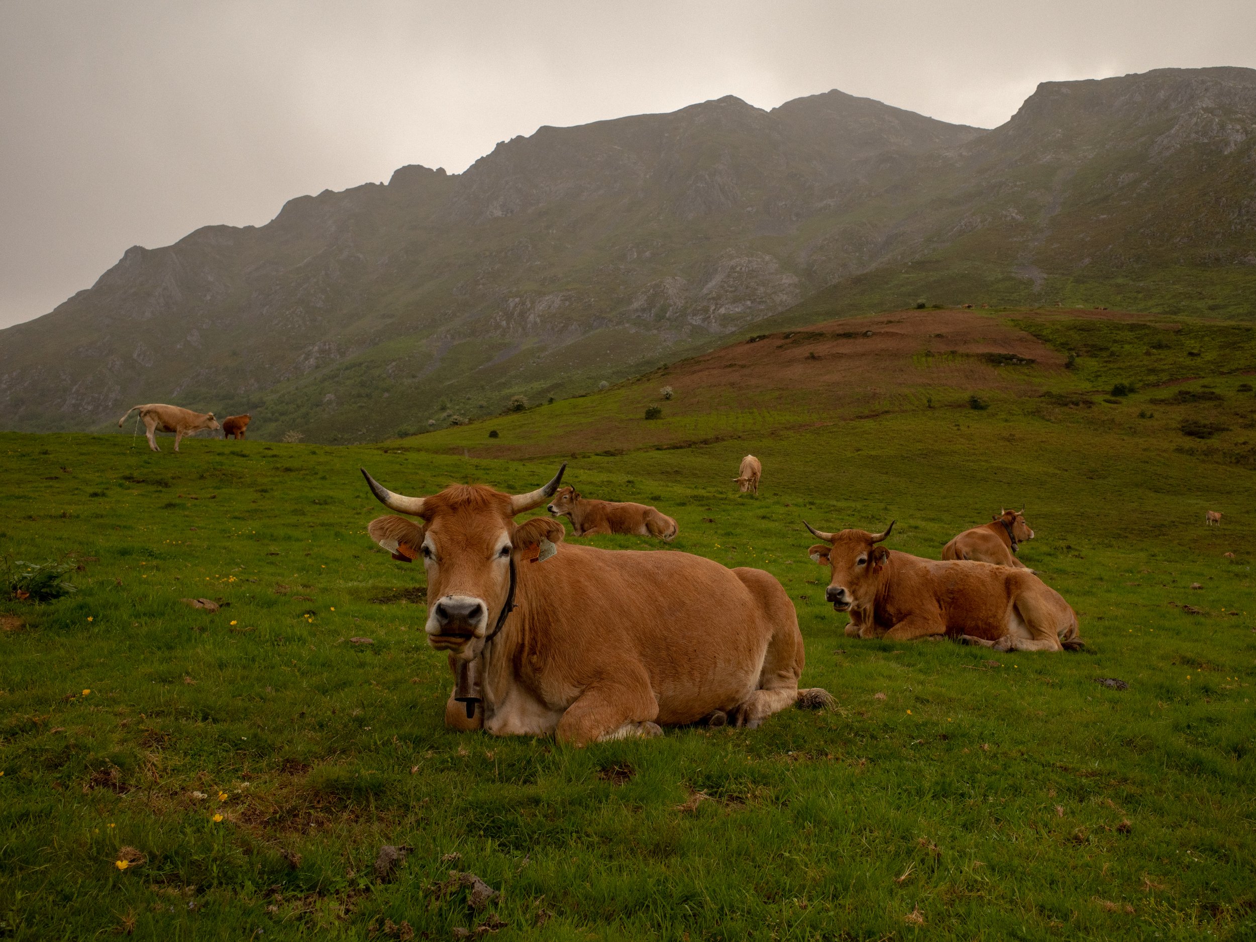 Picos de Europa, Caín - Sotres, Spain