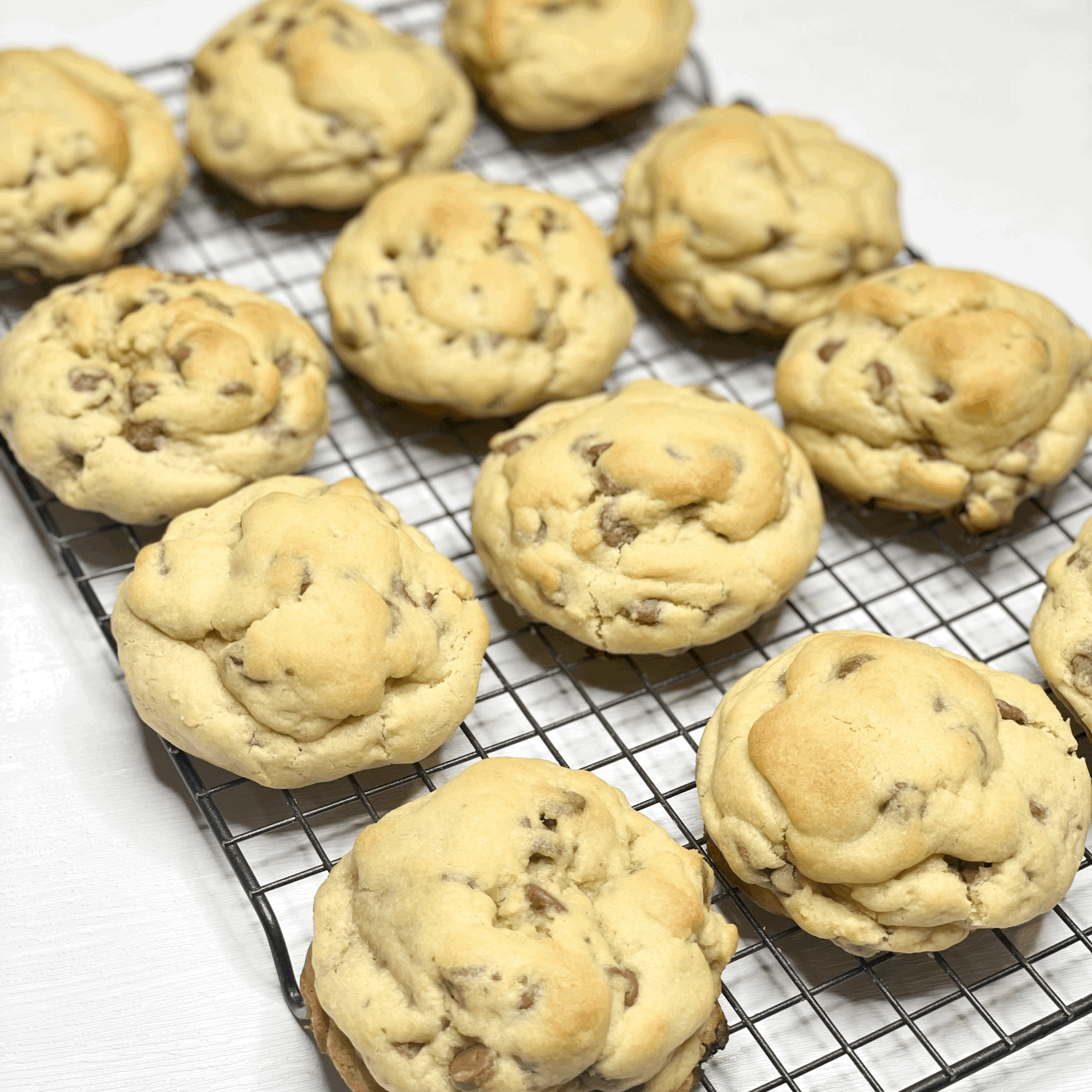 Gourmet Chocolate Chip Cookies