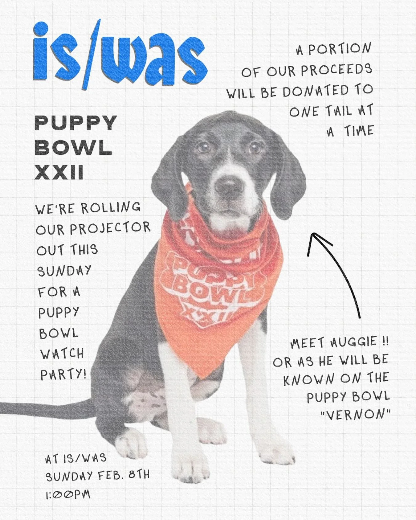 Our friend @hip__hops has a pup in the Puppy Bowl this year! His name is Auggie and we are looking for some folks to come cheer him on! A portion of our proceeds will go to @onetailatatime, which is where Auggie was adopted. See you soon!
