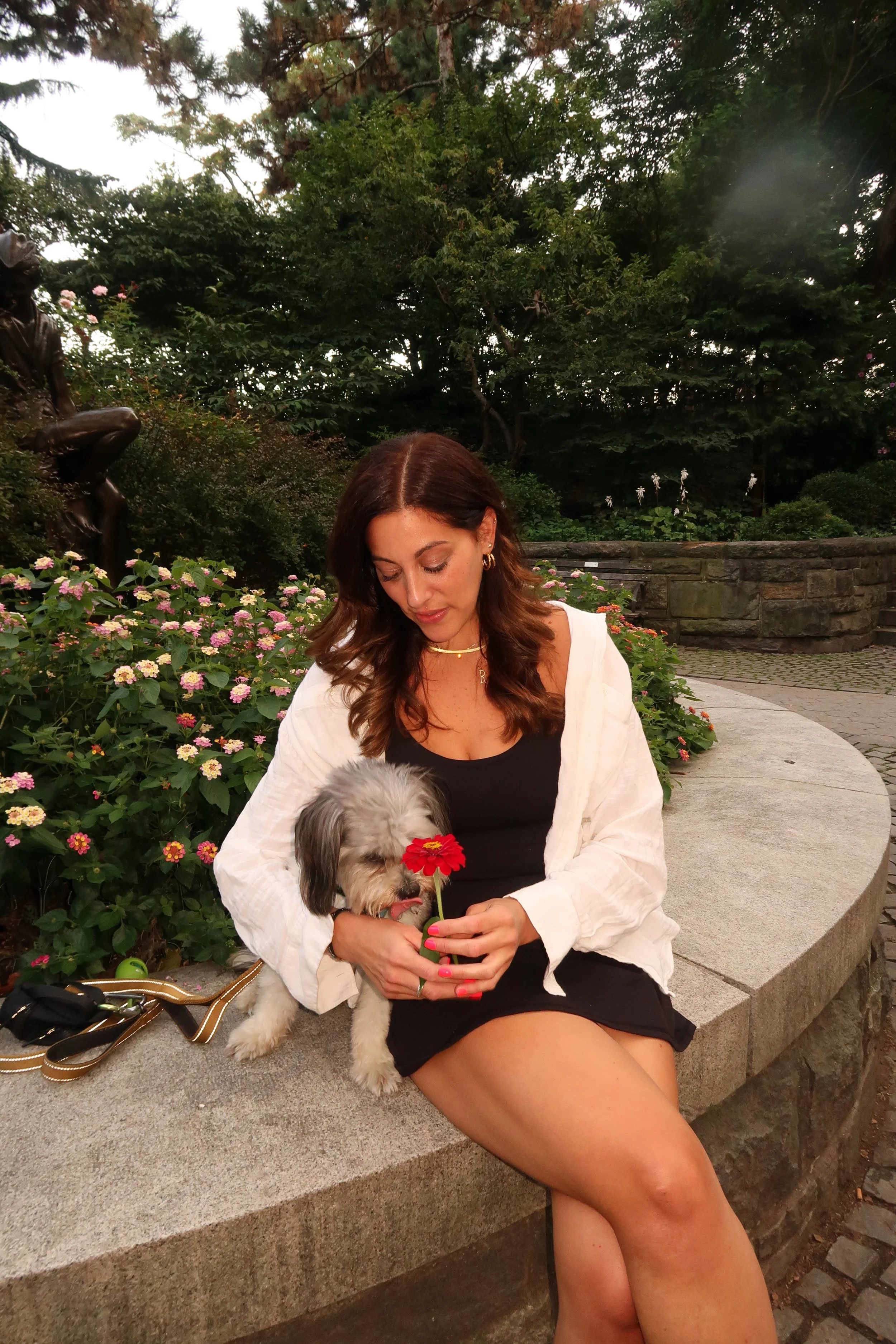 A woman sitting on a stone bench in a park, holding a small dog with a red flower near its face. The woman is looking down at the dog, and there are flowers and greenery in the background.