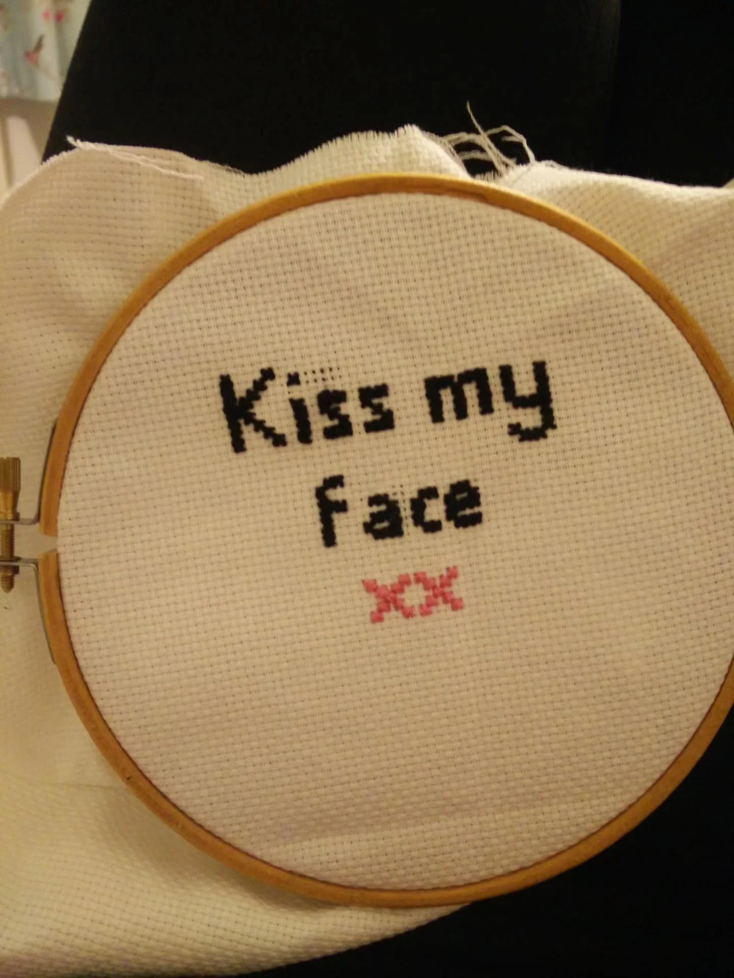 For Valentine's Day 2016 I cross-stitched Alan Partridge's immortal words for Paul. 🩷

I hadn't picked up cross-stitch for a few years, forgot to split the threads, didn't back the piece, messed up the kerning entirely and it did not occur to me tha