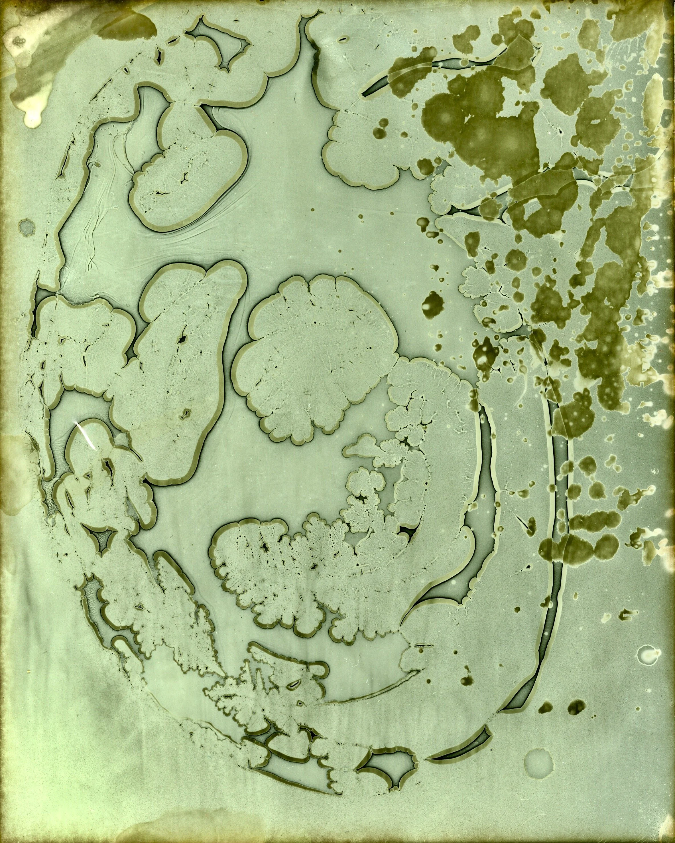 2022-03-14-0007 (1).jpeg