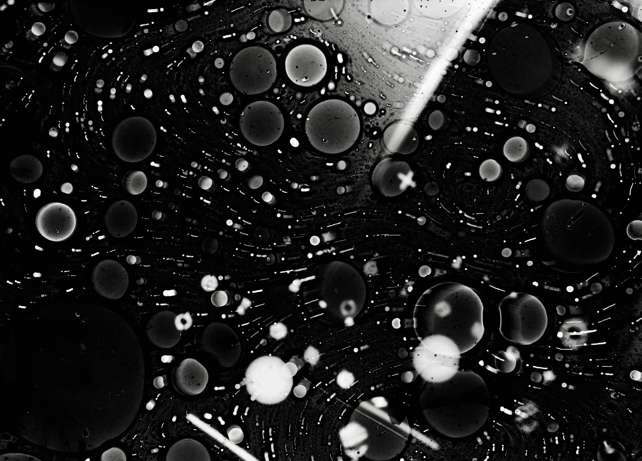 2022-01-29-0005 Invert.jpeg