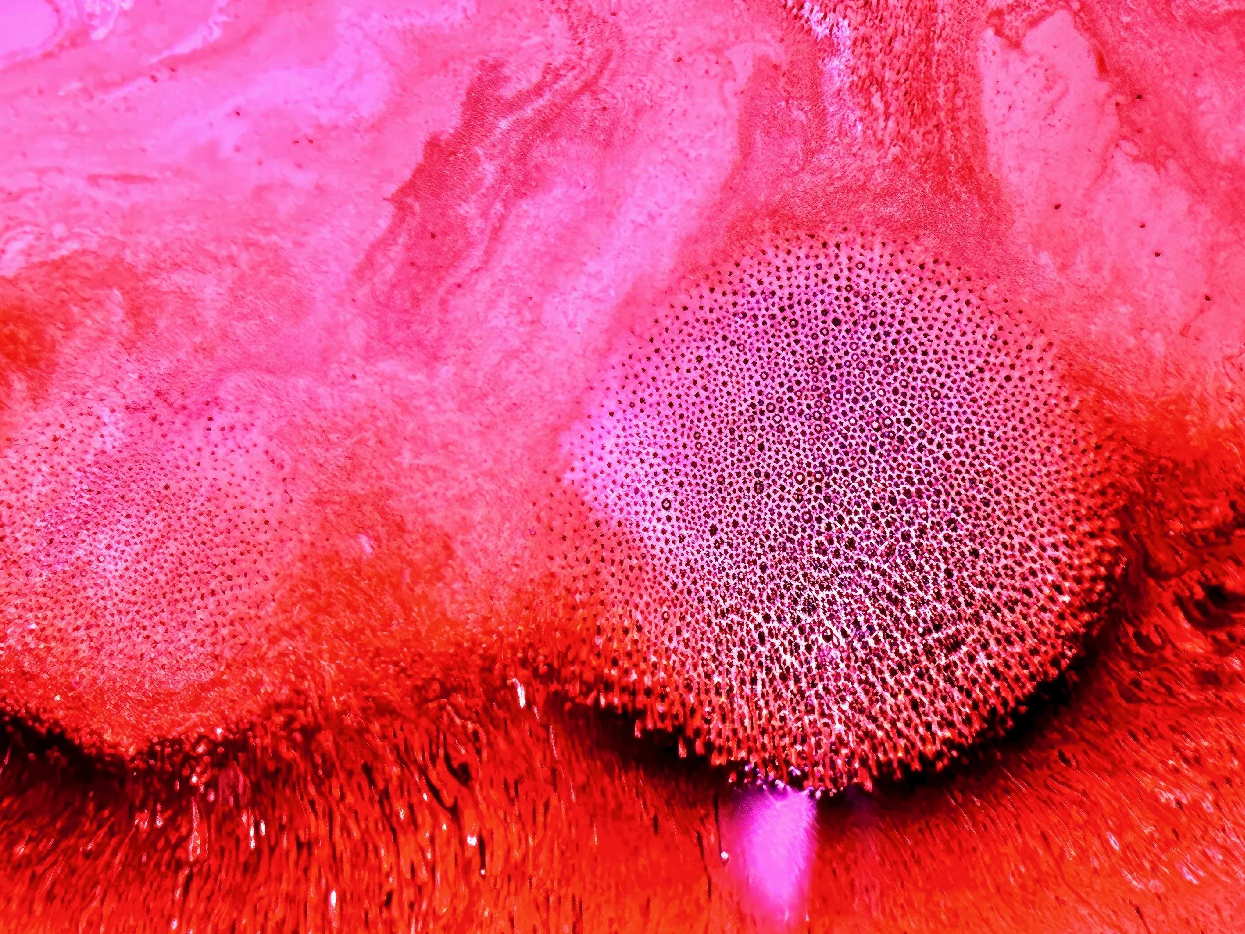 IMG_2318-gigapixel-standard-scale-2_00x (1).jpeg