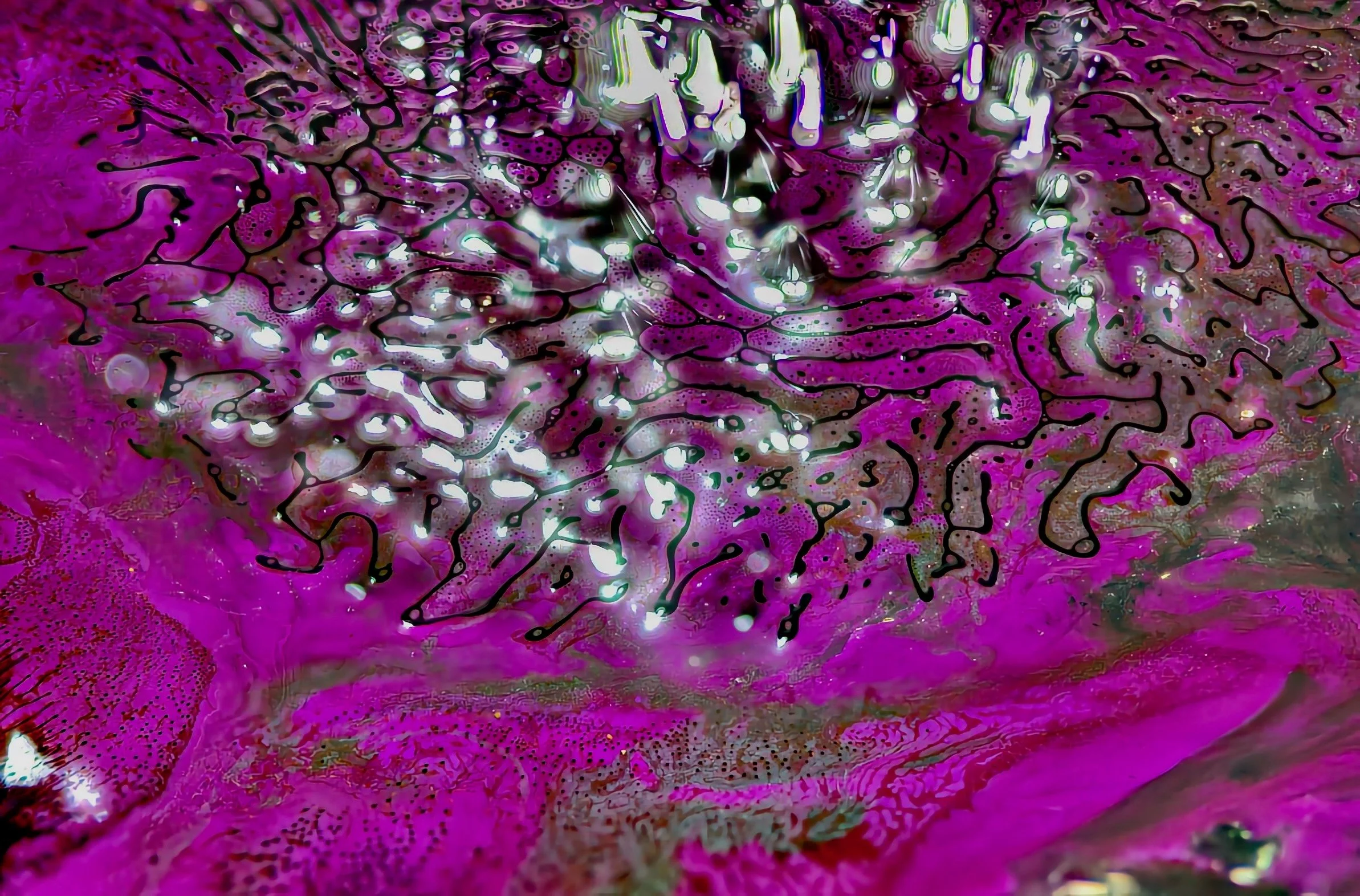 _MG_7022_stack 2_HDR (1).jpeg