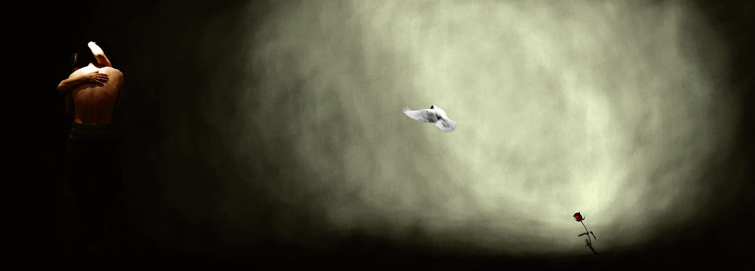 the rose
Chromogenic cibachrome print mounted on to aluminium front face glass mounting
Edition of 3
100 x 36 cm 