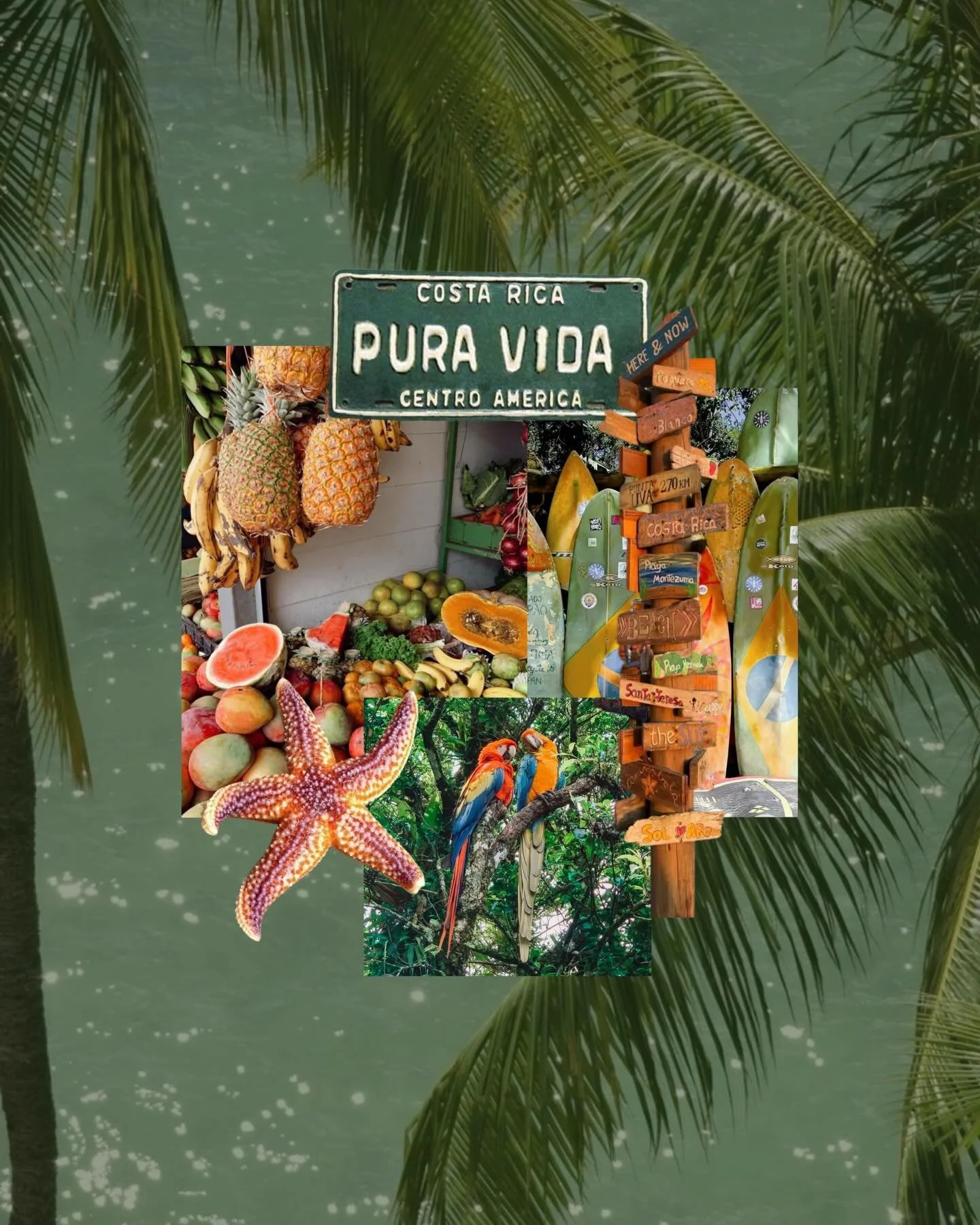 Spring Break at @fscostarica 

Adventure for them, total exhale for you. They&rsquo;re off on zip lines and surf lessons while you&rsquo;re poolside, ocean views, easing into a massage. Everyone wins.