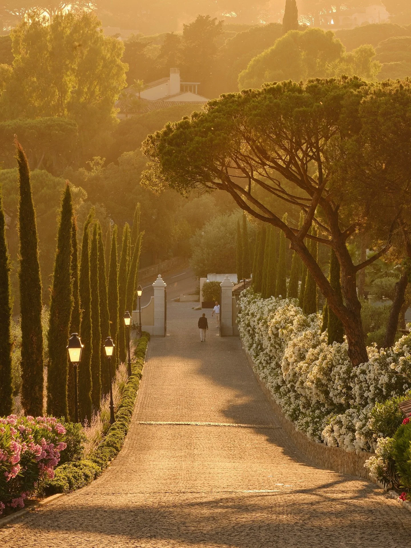 airellessainttropez_1758727958_3728802830695010188_1478161637.jpg
