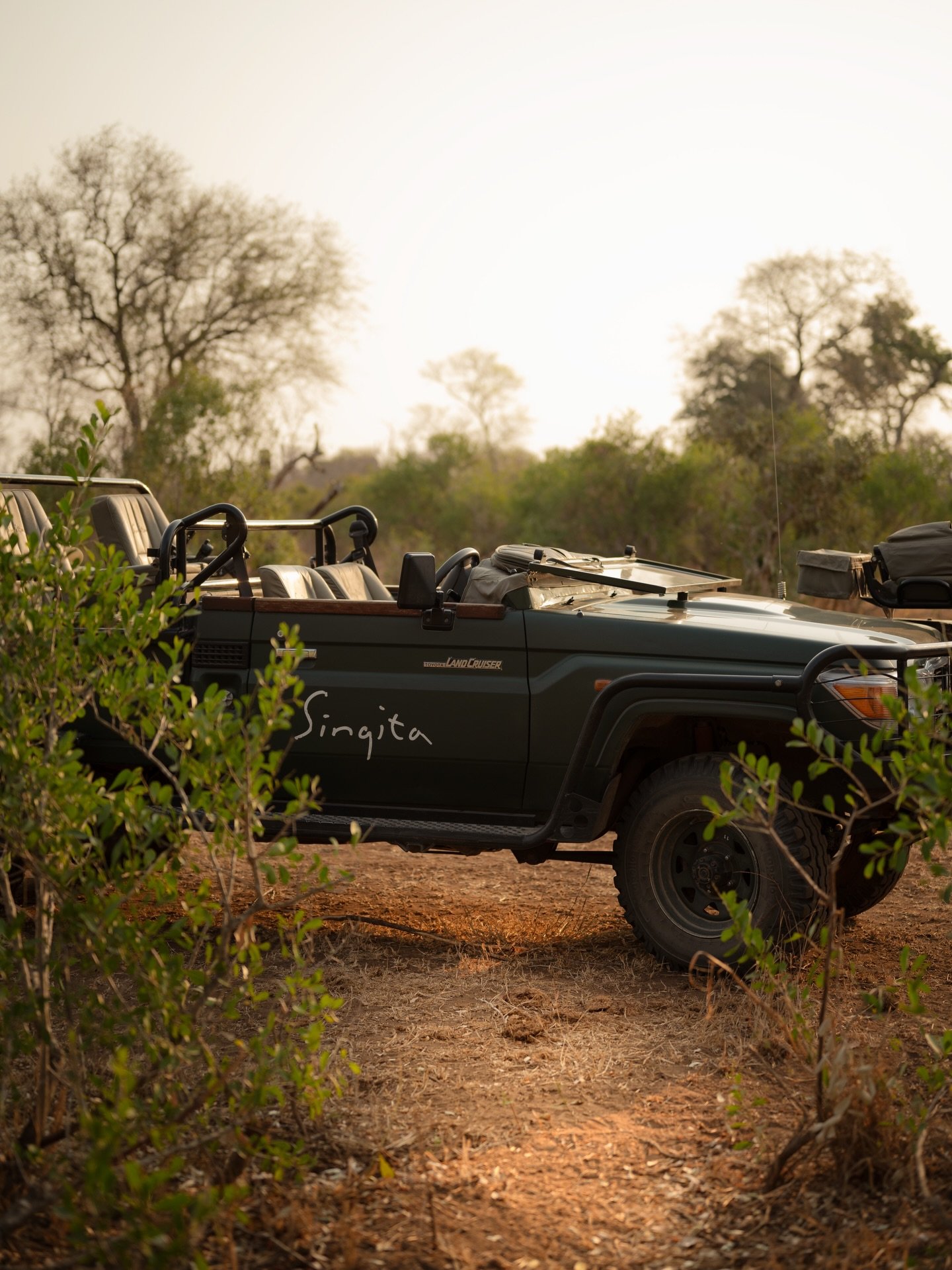 singita__1770915601_3831039873529389215_510721028.jpg