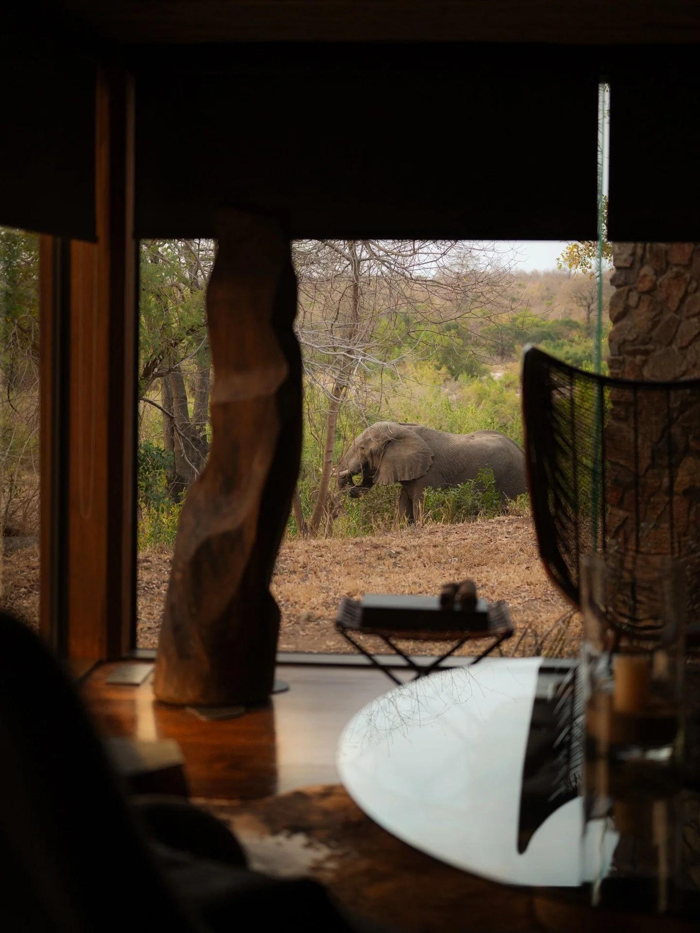 singita__1770915601_3831039824875486962_510721028.jpg