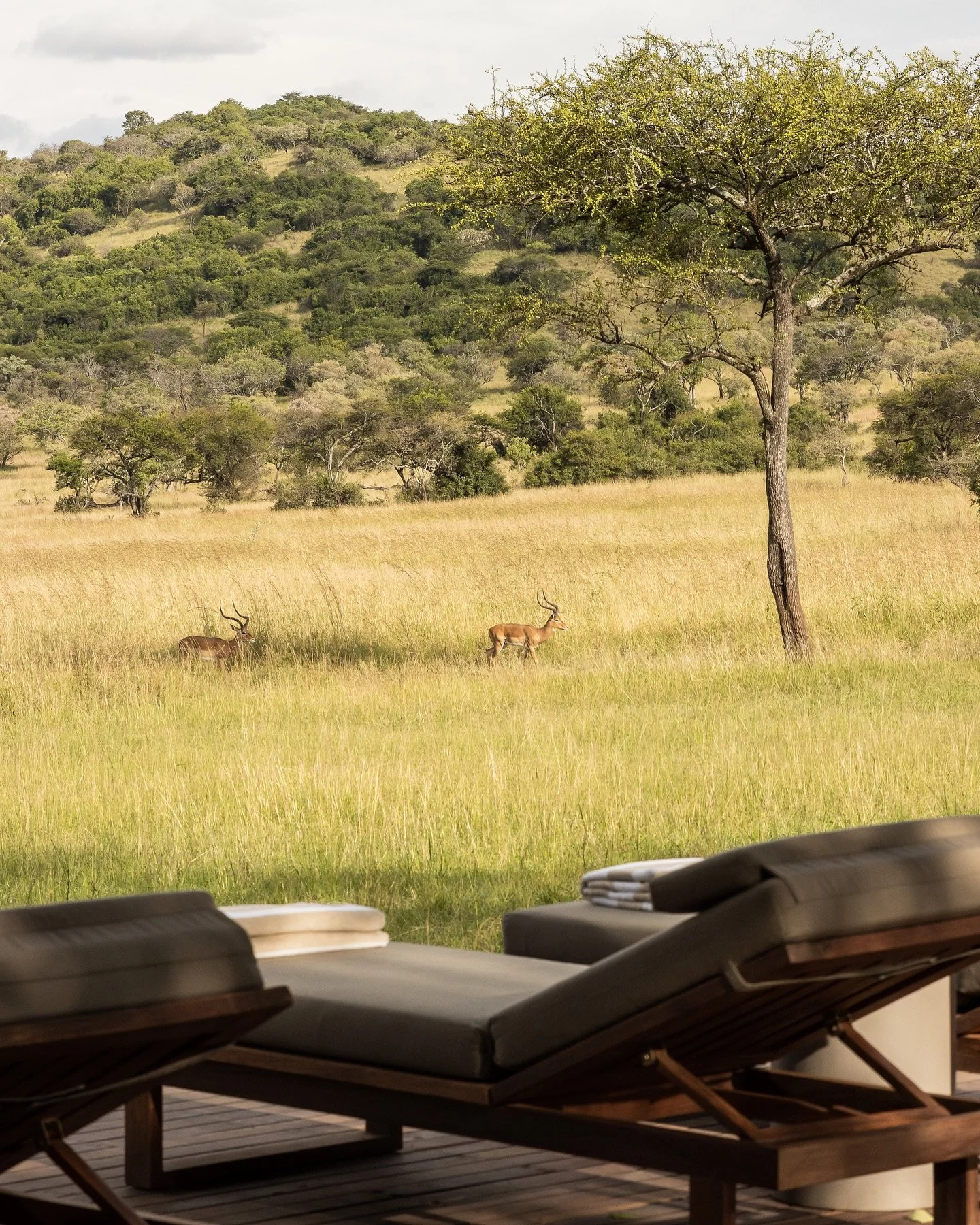 singita__1744187314_3606827072064545107_510721028.jpg