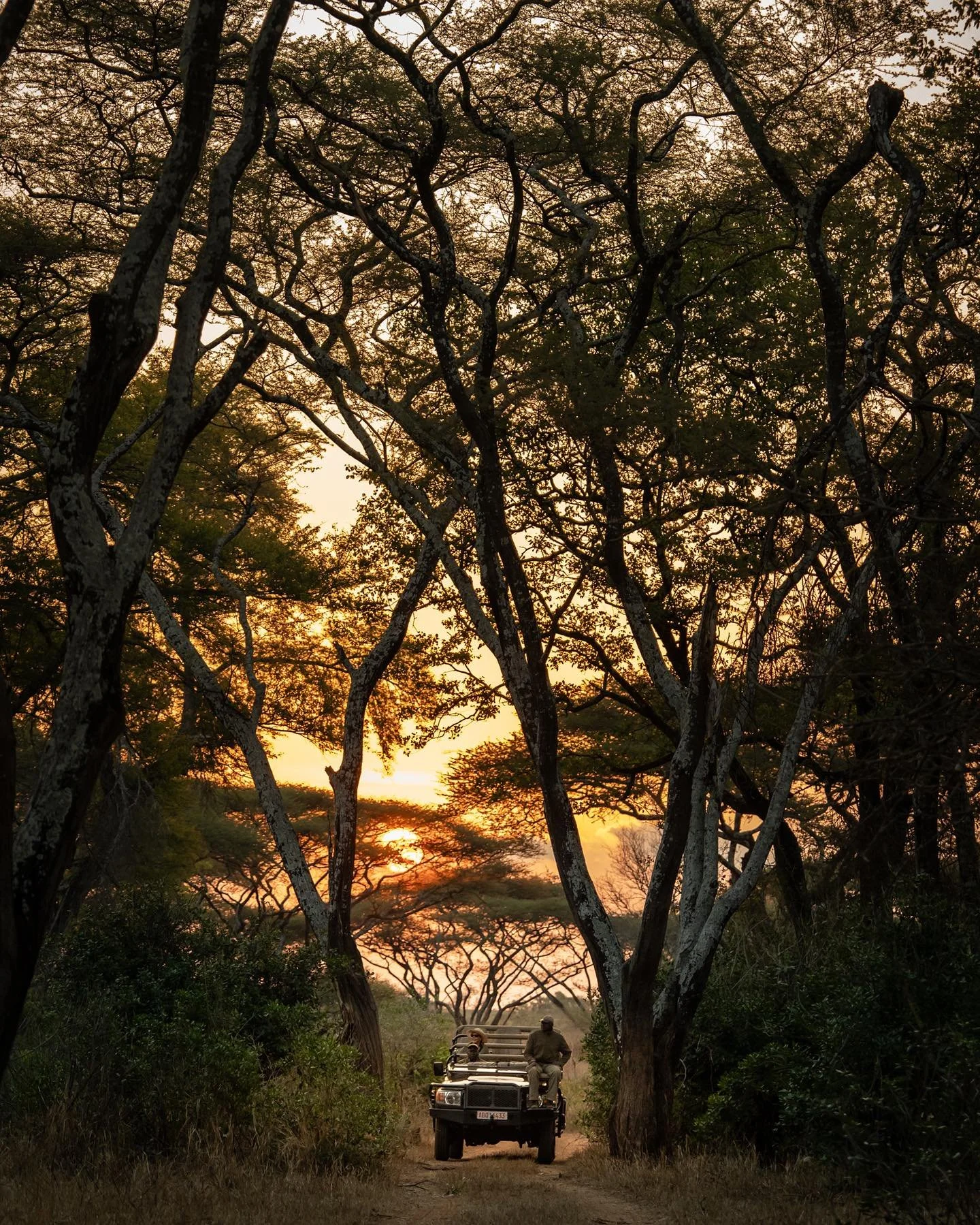 singita__1711568544_3333200994894633312_510721028.jpg