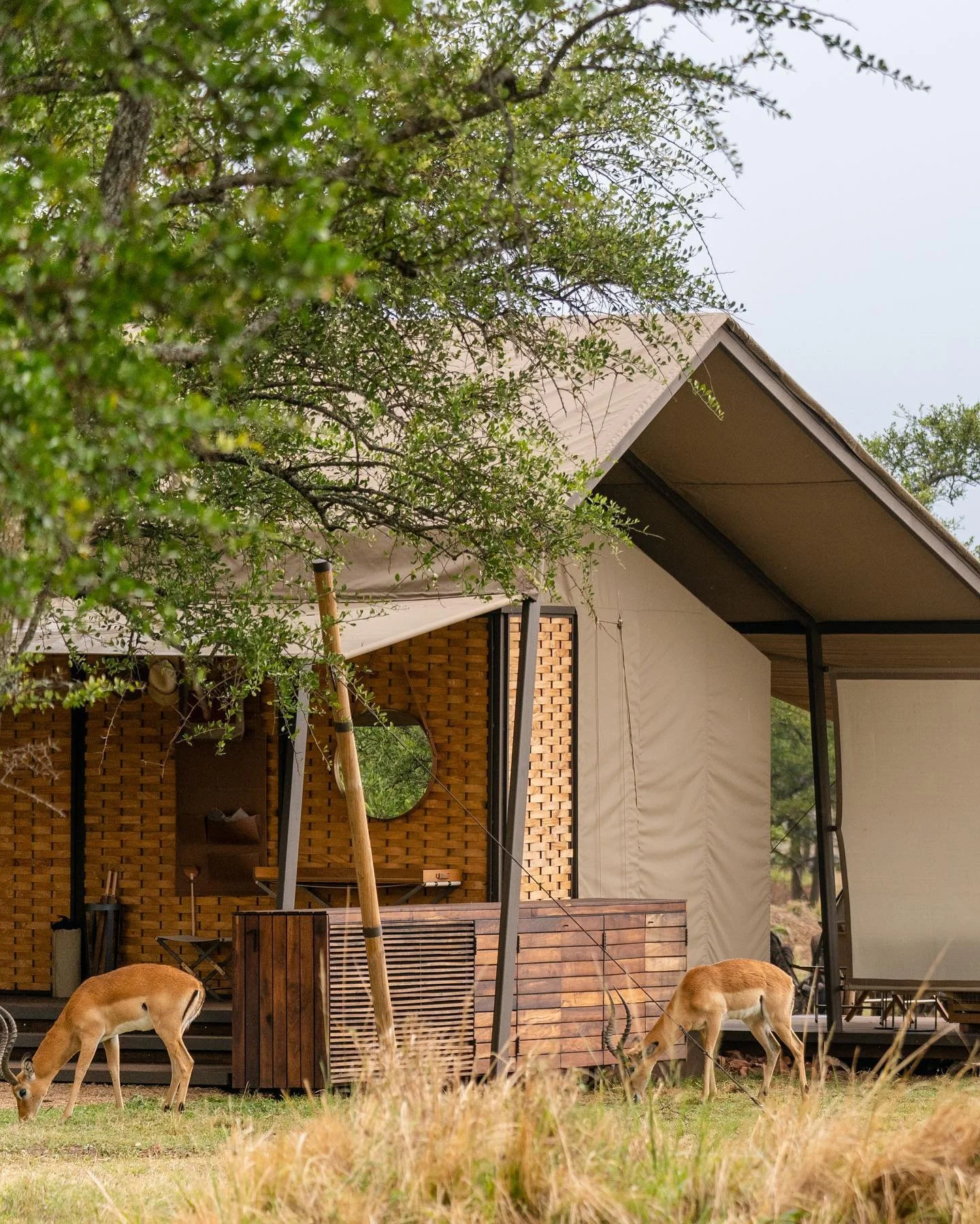 singita__1696707136_3208534472679808947_510721028.jpg