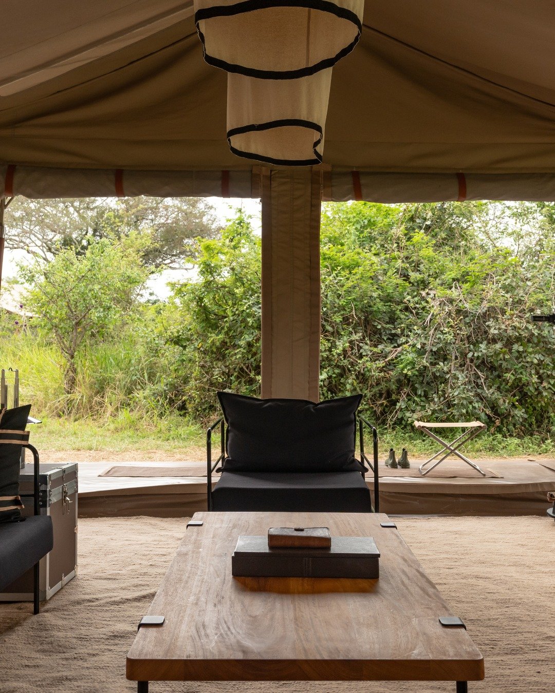 livingstonesafaris_1787245216_3968022917707433502_4778935759.jpg