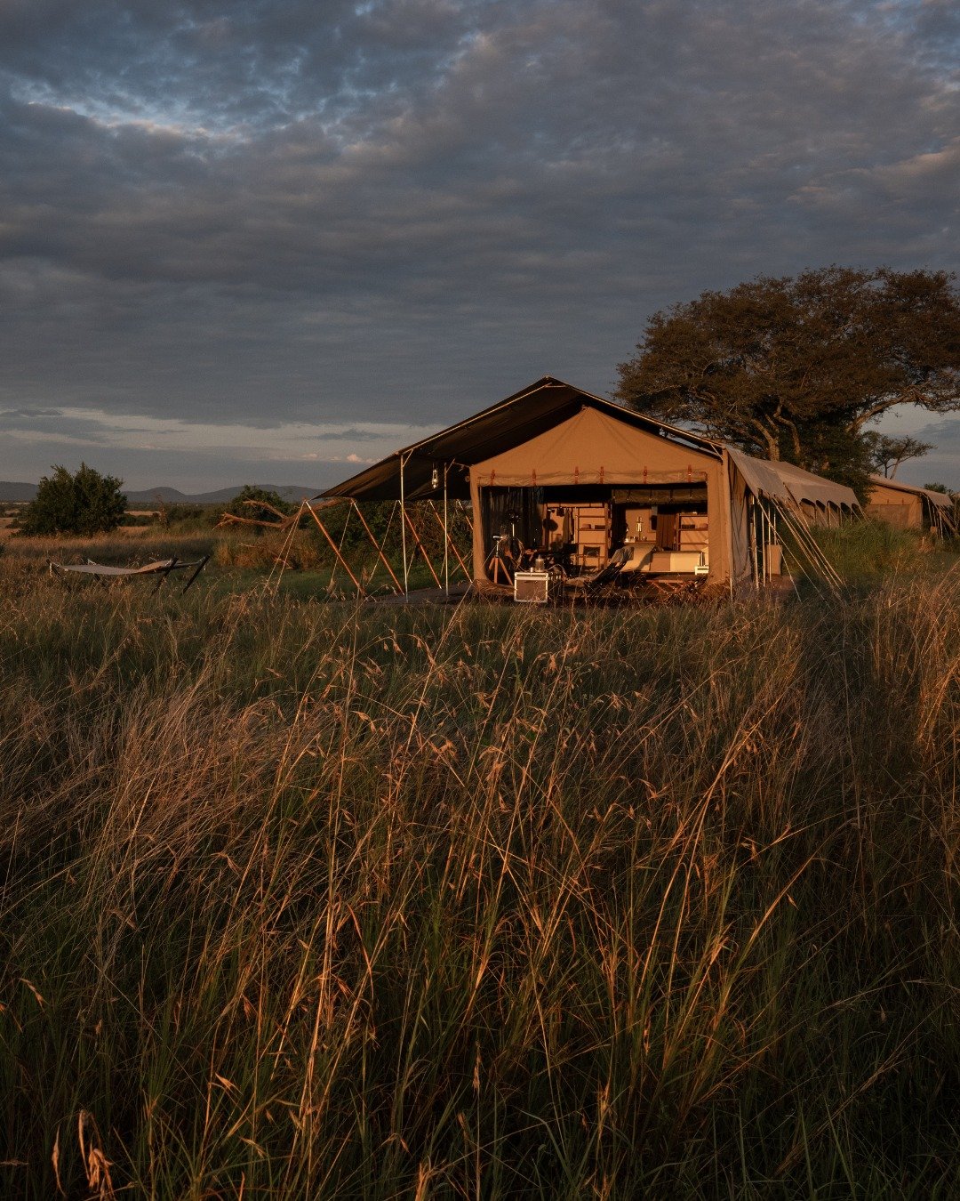 livingstonesafaris_1787245216_3968022918210739967_4778935759.jpg
