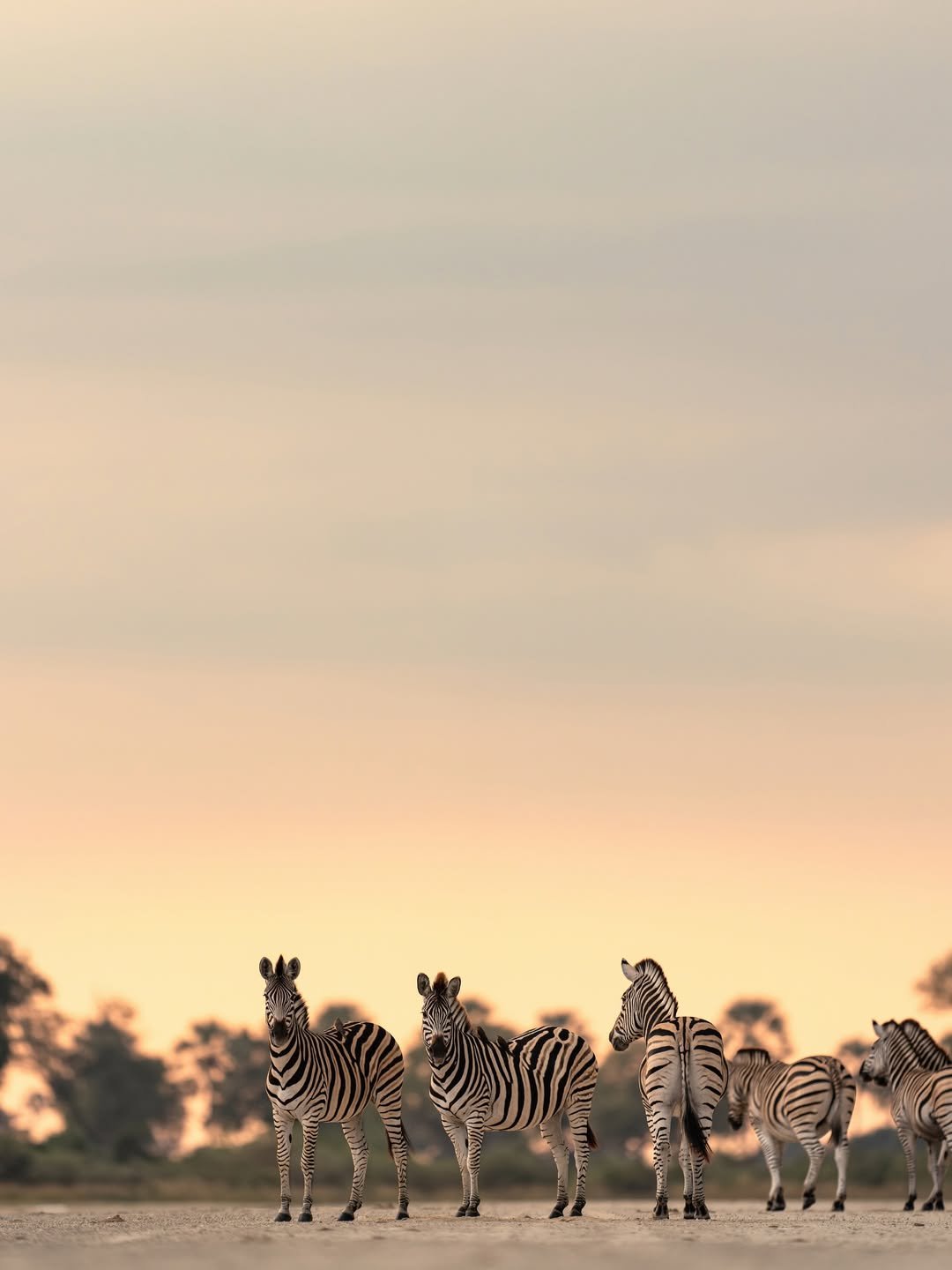 singita__1790500269_3995324647828758665_510721028.jpg
