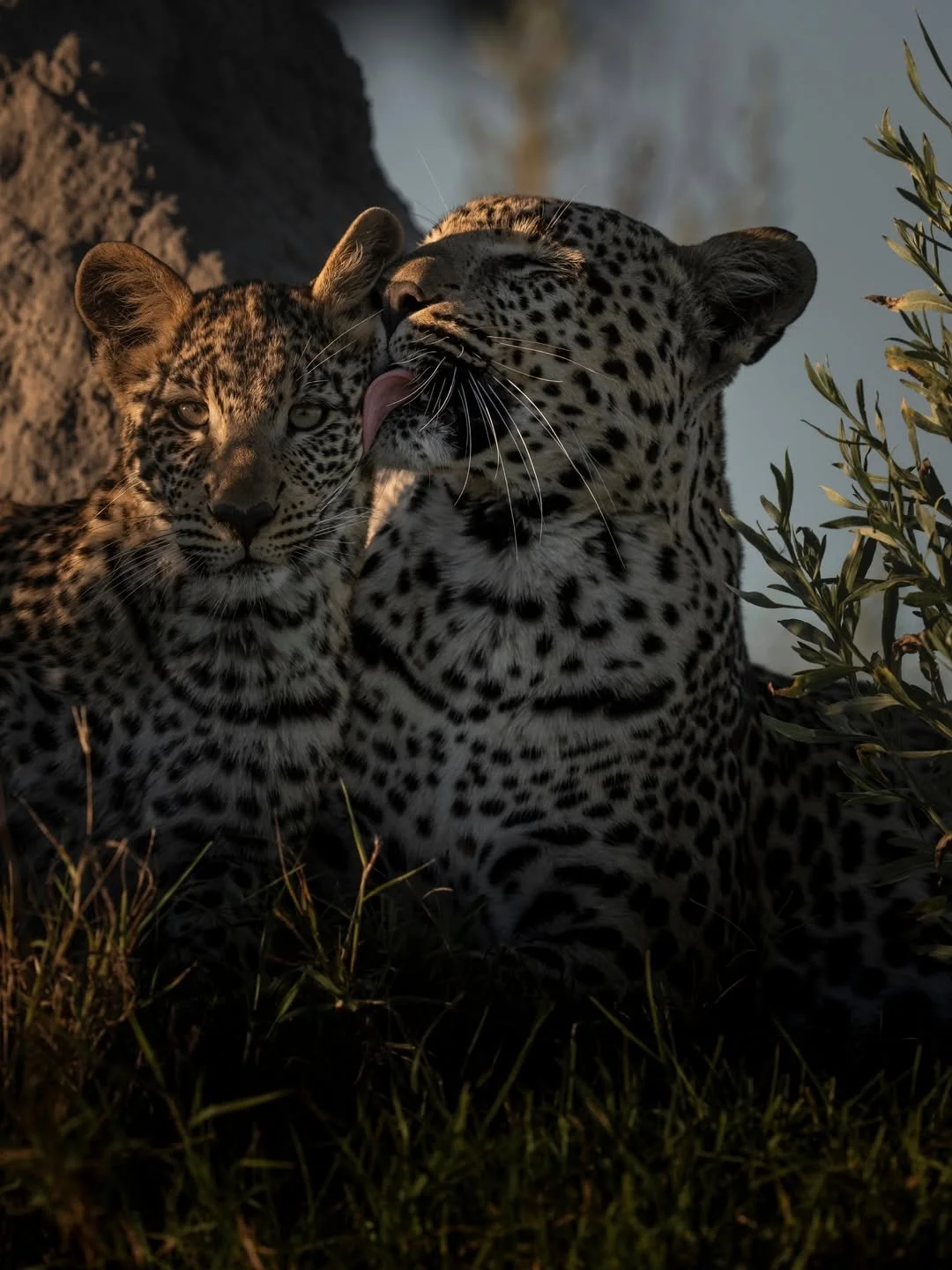 singita__1790500269_3995324634893490908_510721028.jpg