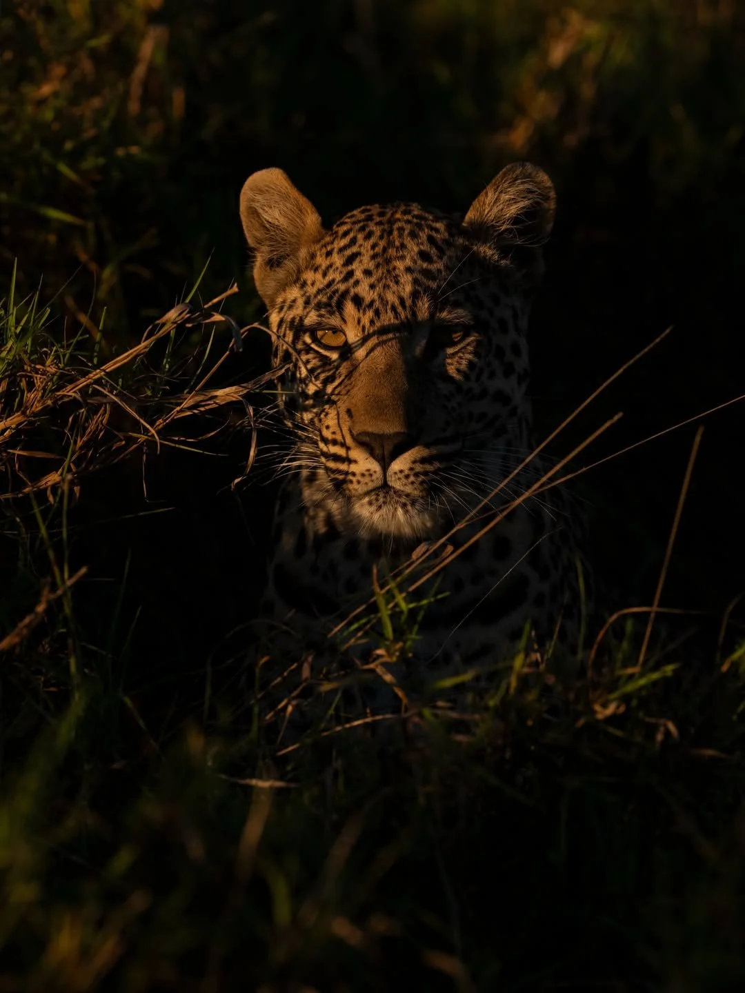 singita__1784125374_3941851720986985558_510721028.jpg