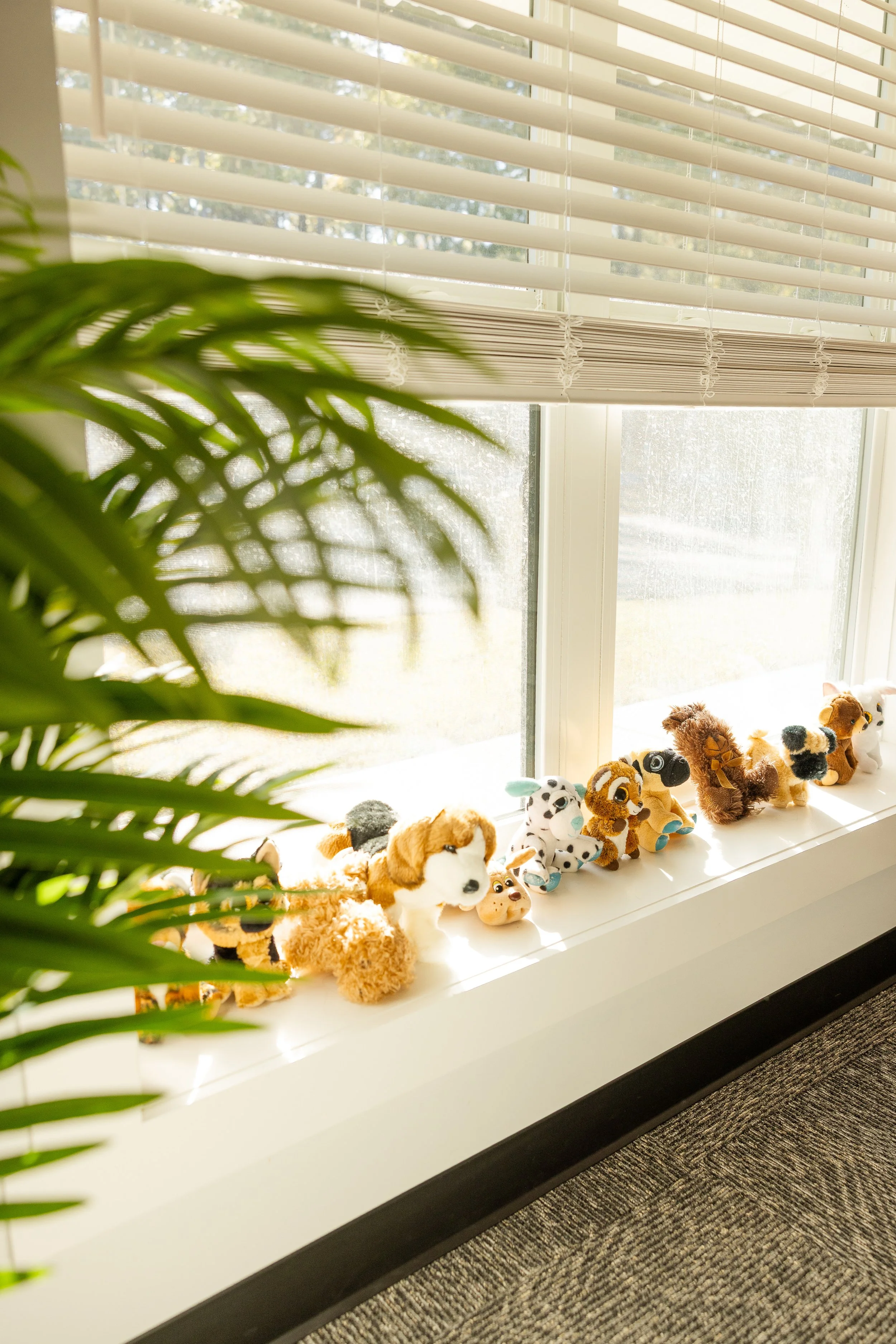 A windowsill with small stuffed animal toys, including dogs and cats, lined up under a partially closed beige window blind. A green plant leaves is visible on the left side of the image.