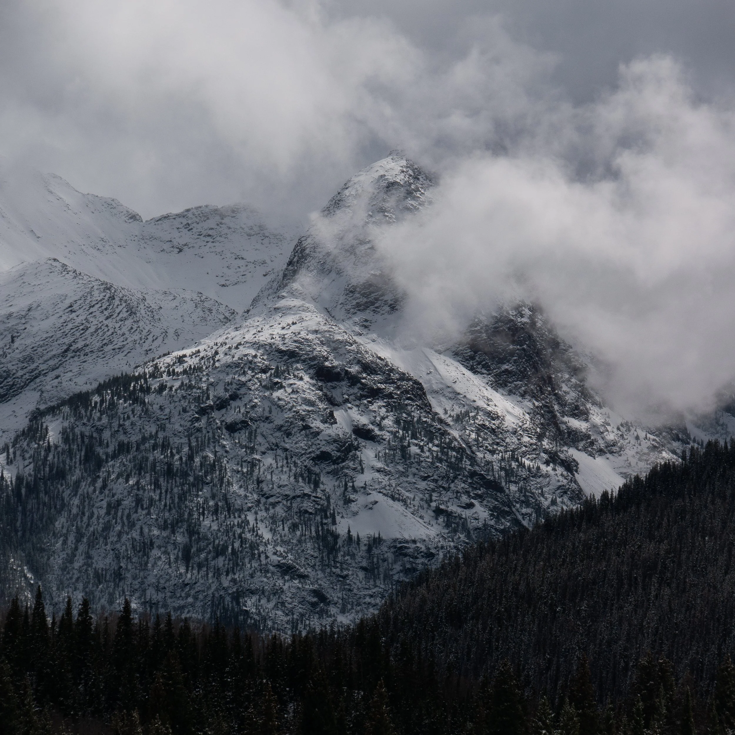 P1020730-2.jpg