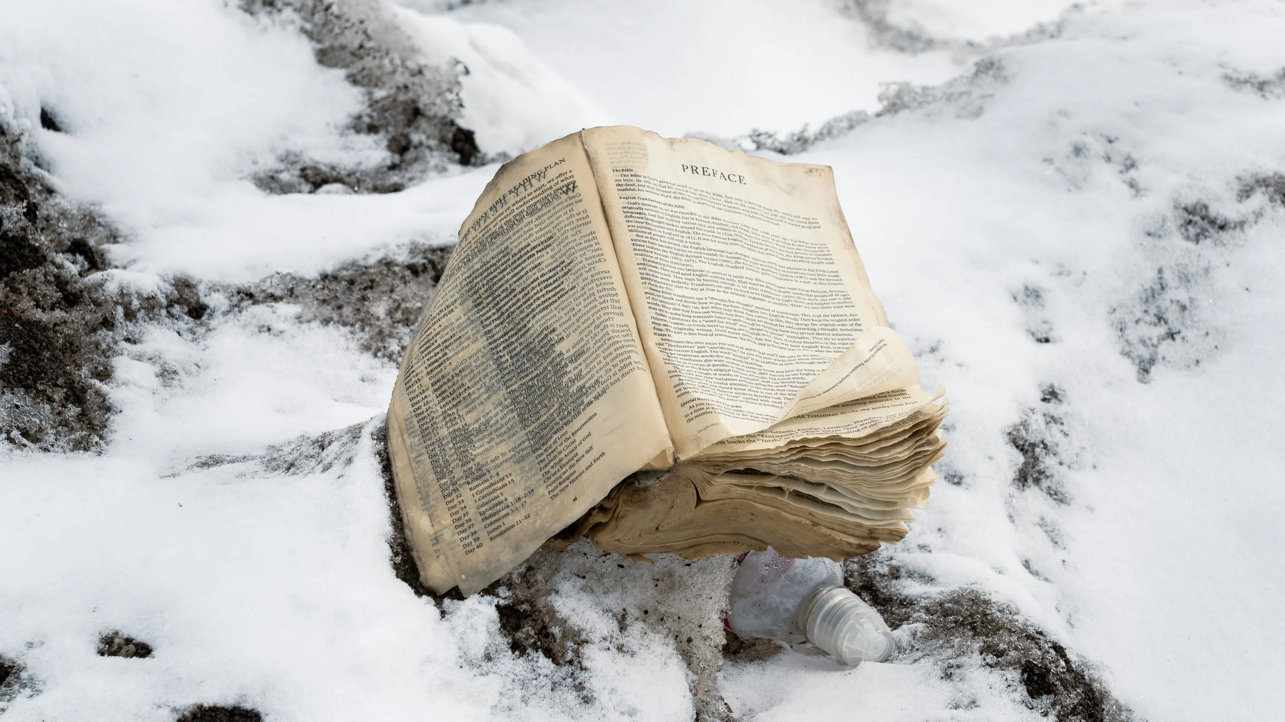 roadside bible.jpg