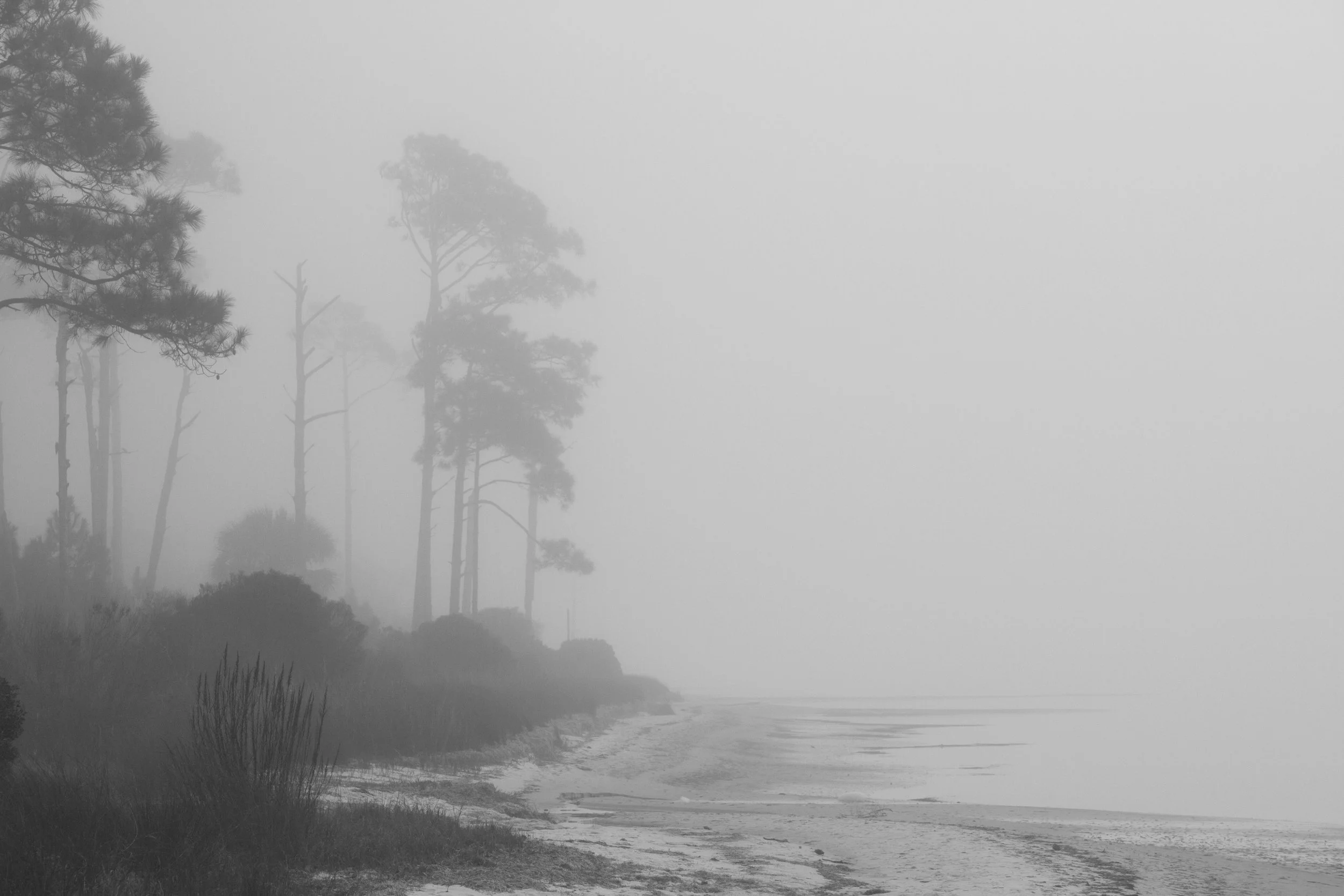 floridacoast3.jpg