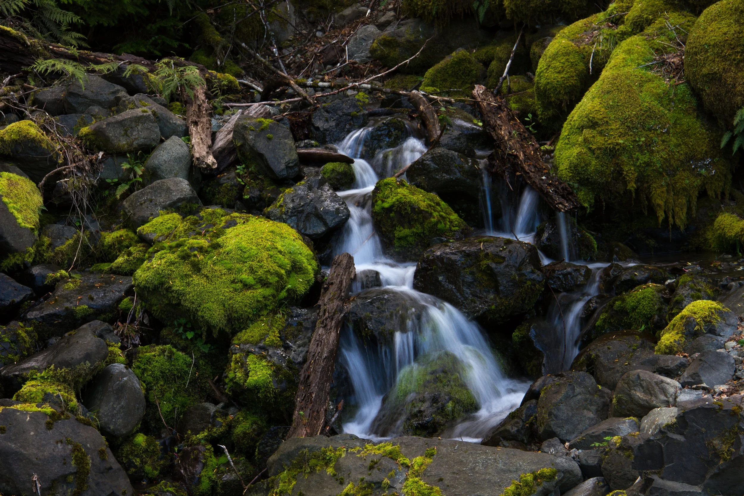 water1.jpg