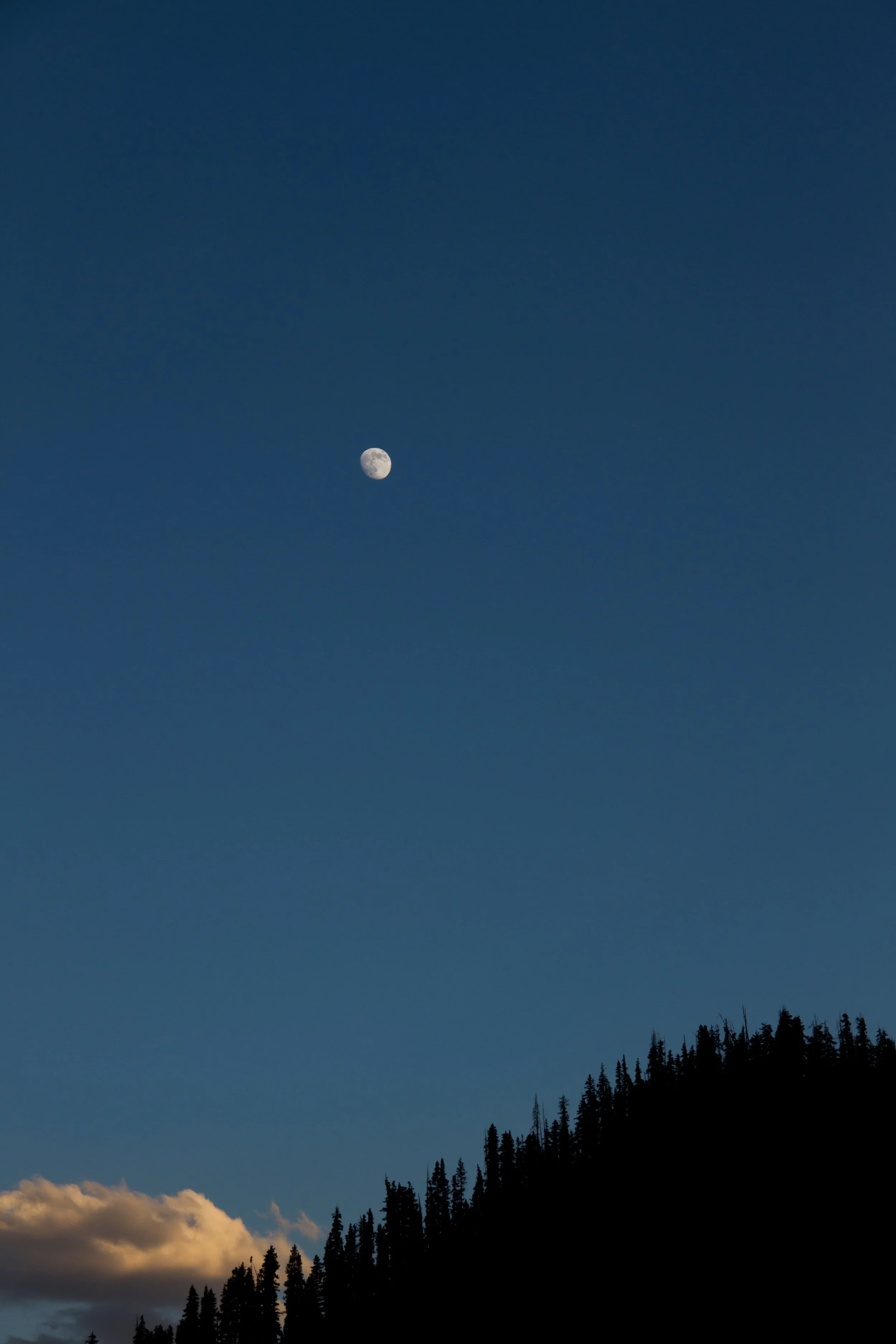 telluride17.jpg