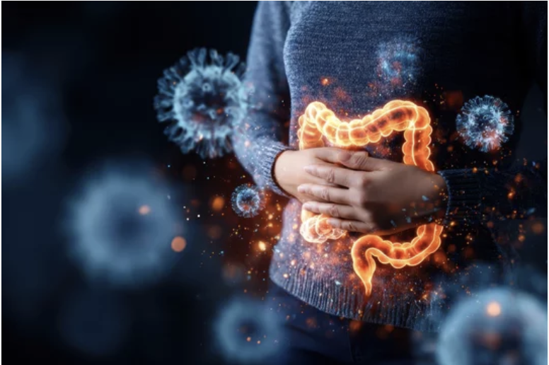 Mood &amp; Micronutrients Series — Part 2: Gut Health &amp; Serotonin: How Your Digestive System Shapes Your Mood