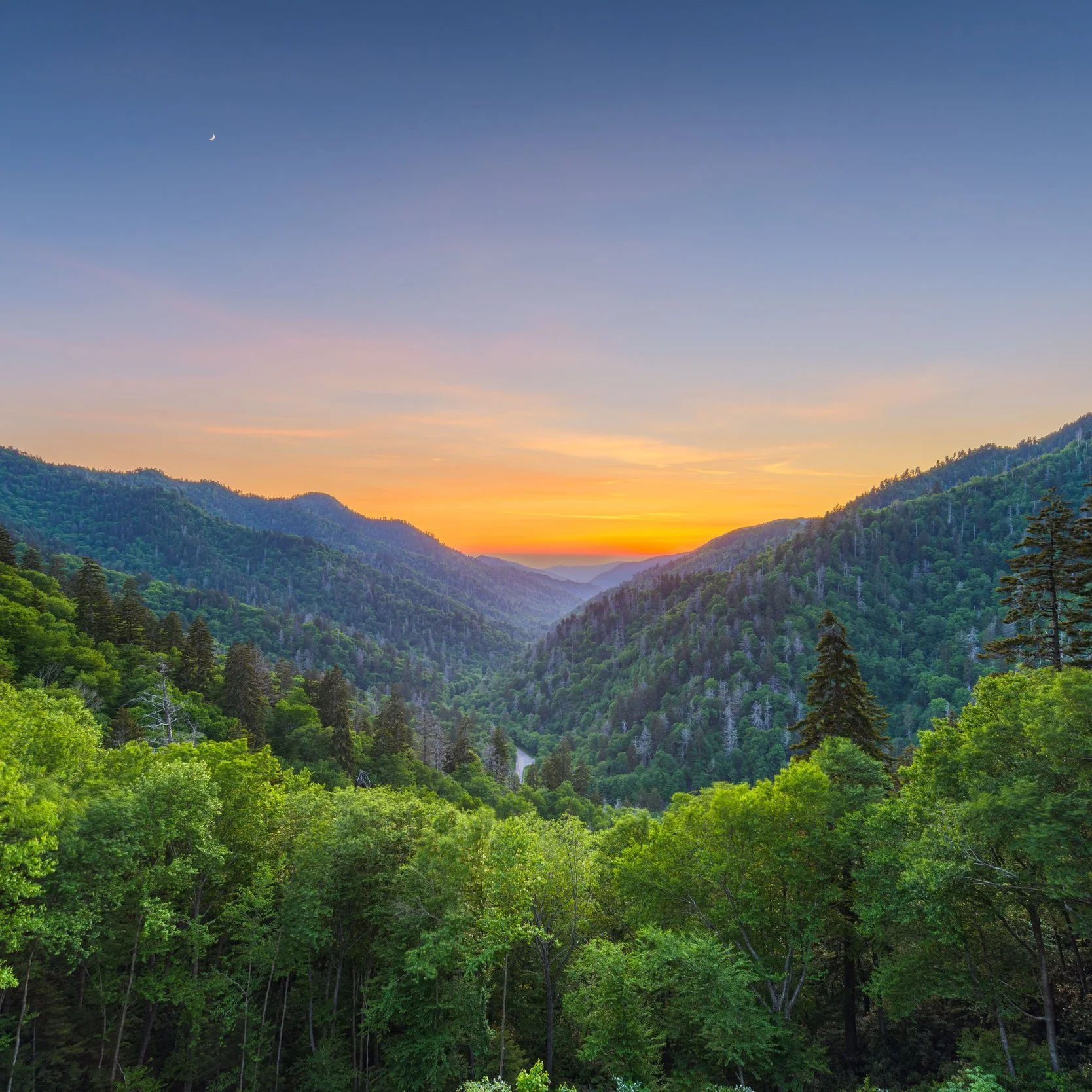 Smoky+mountains136800814_l.jpg